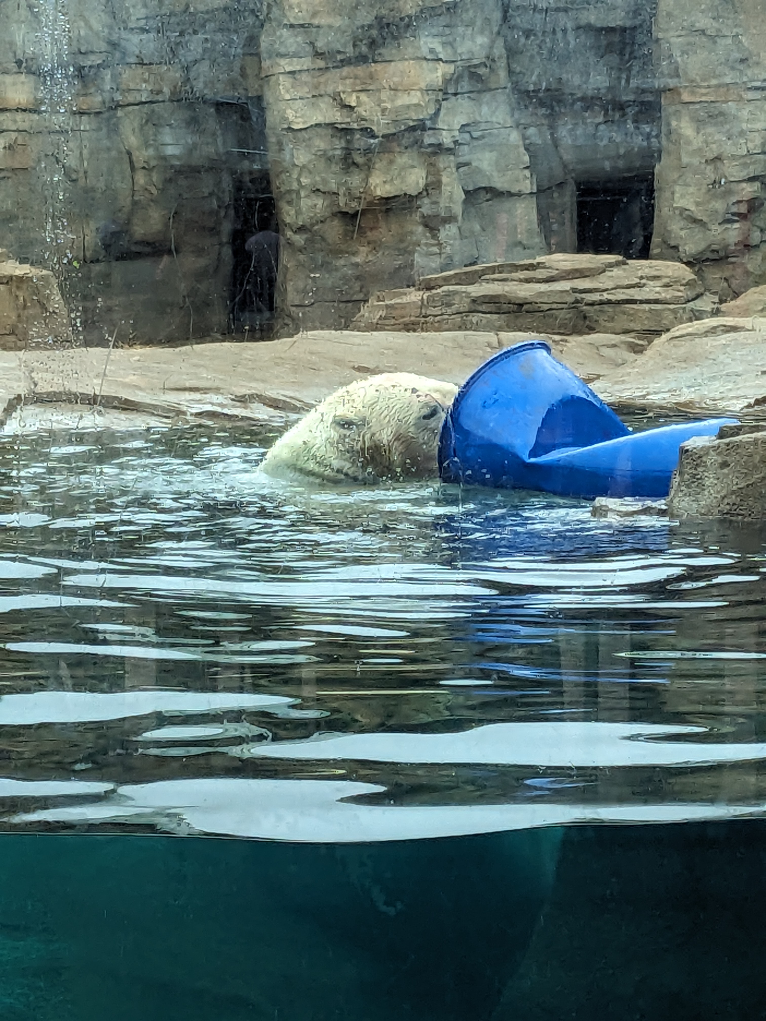 PXL 20241103 165444705