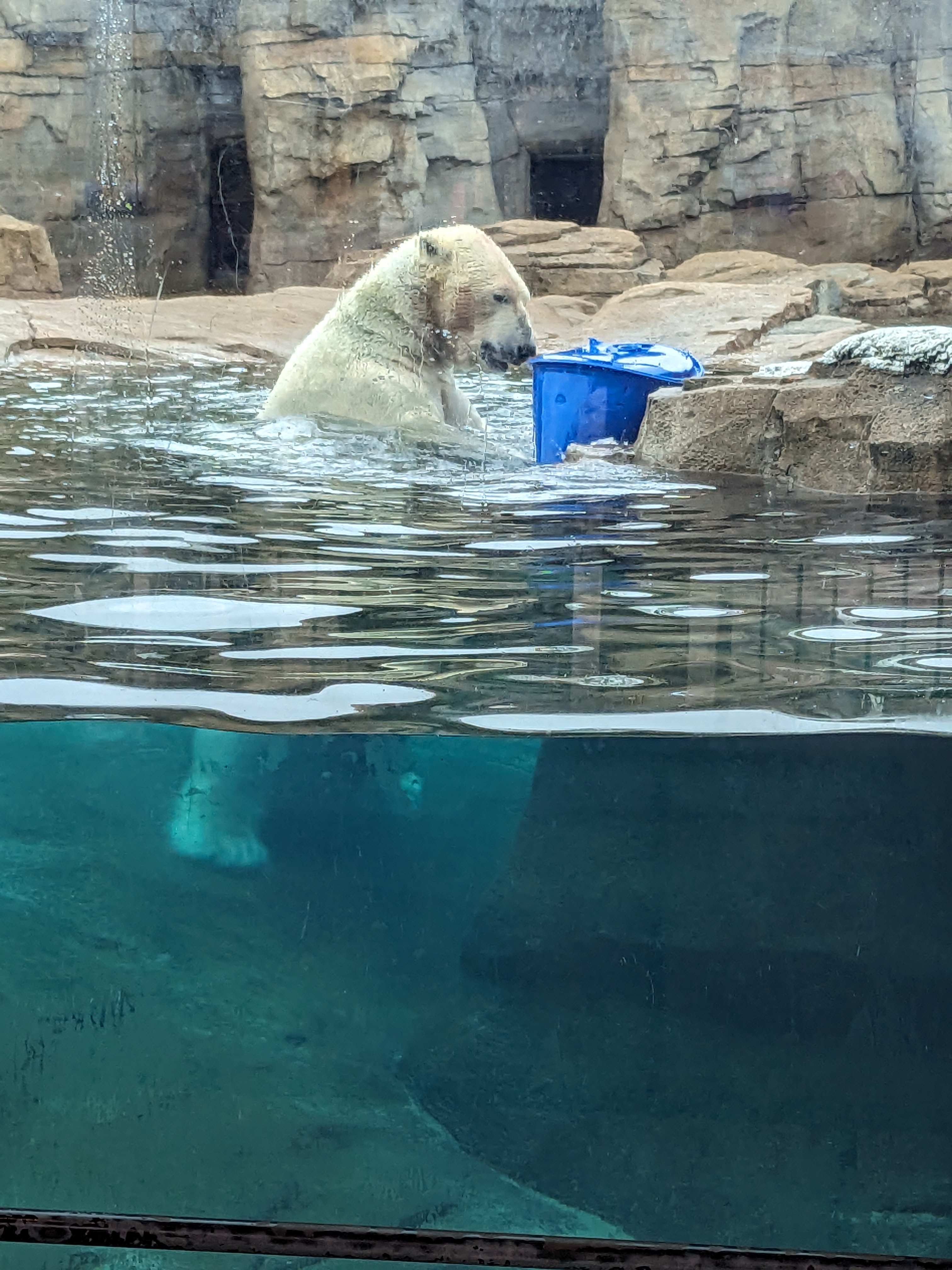 PXL 20241103 165504068