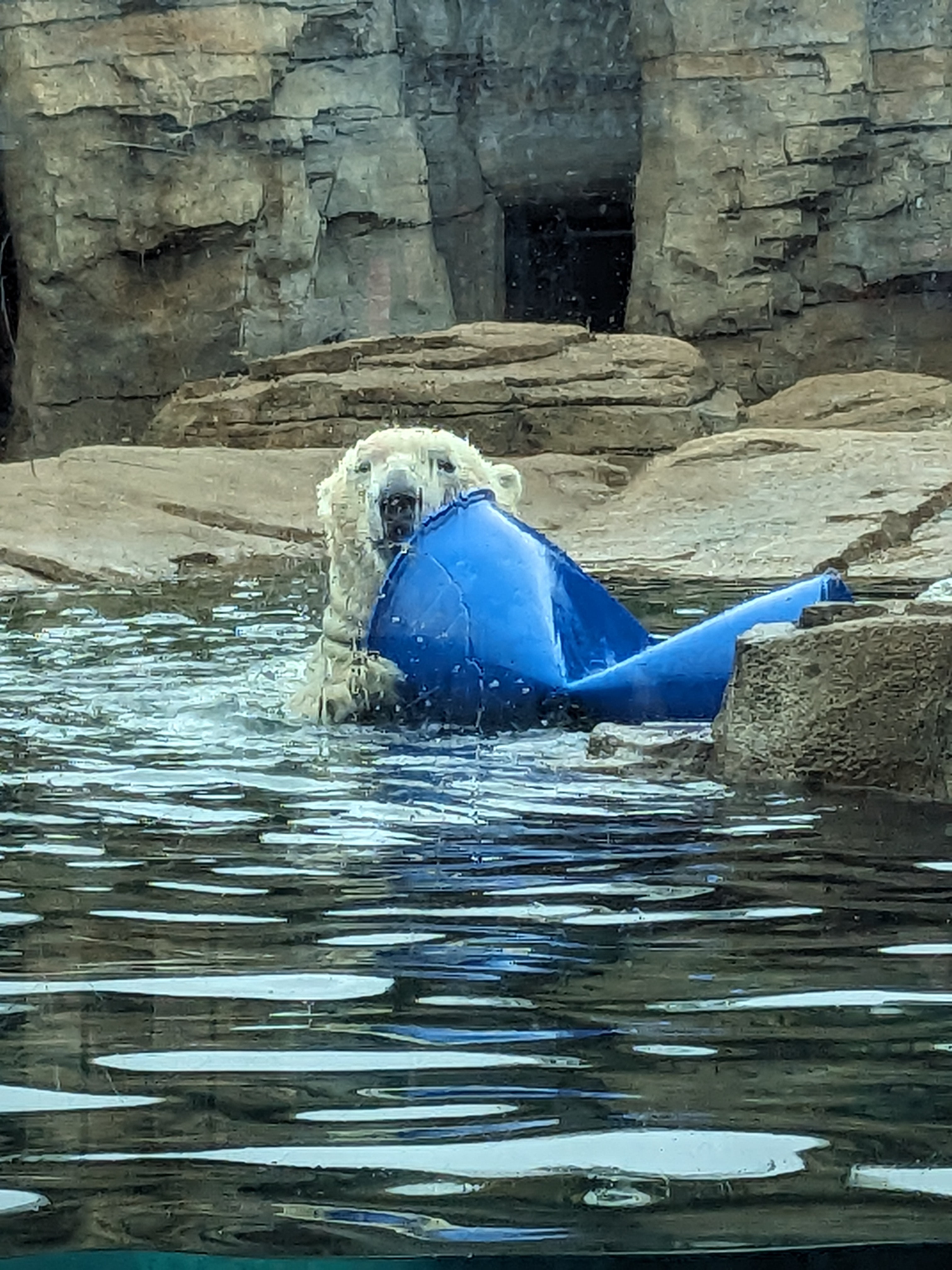 PXL 20241103 165531954