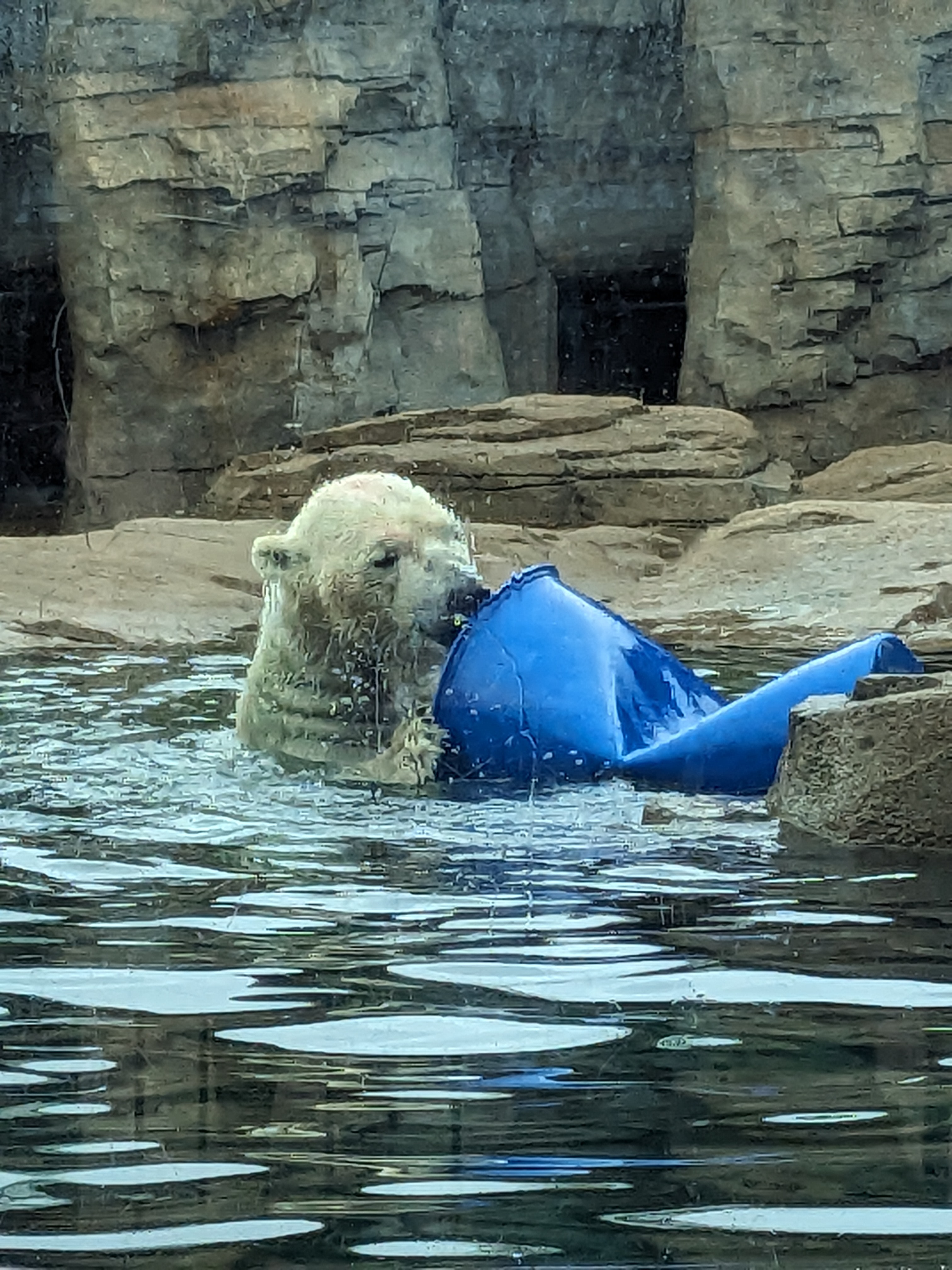 PXL 20241103 165533230