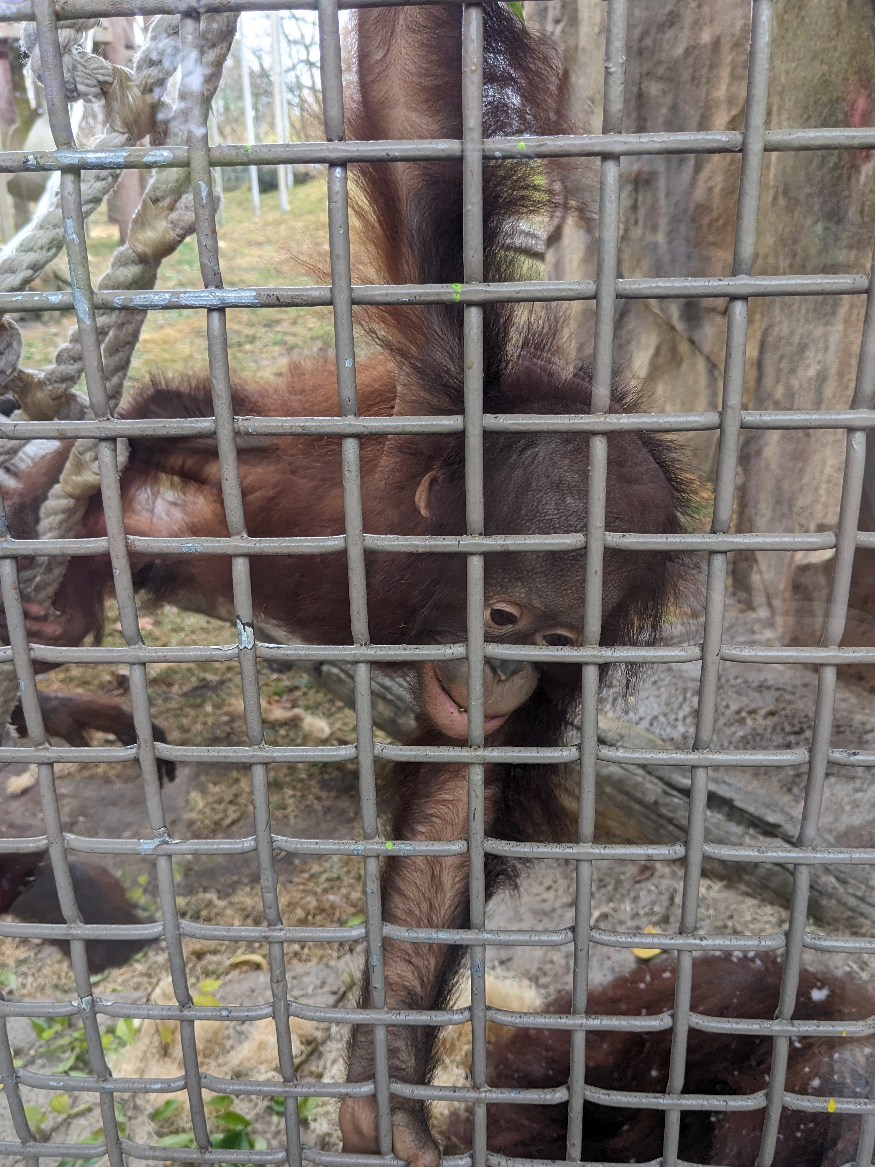 PXL 20241103 170301743