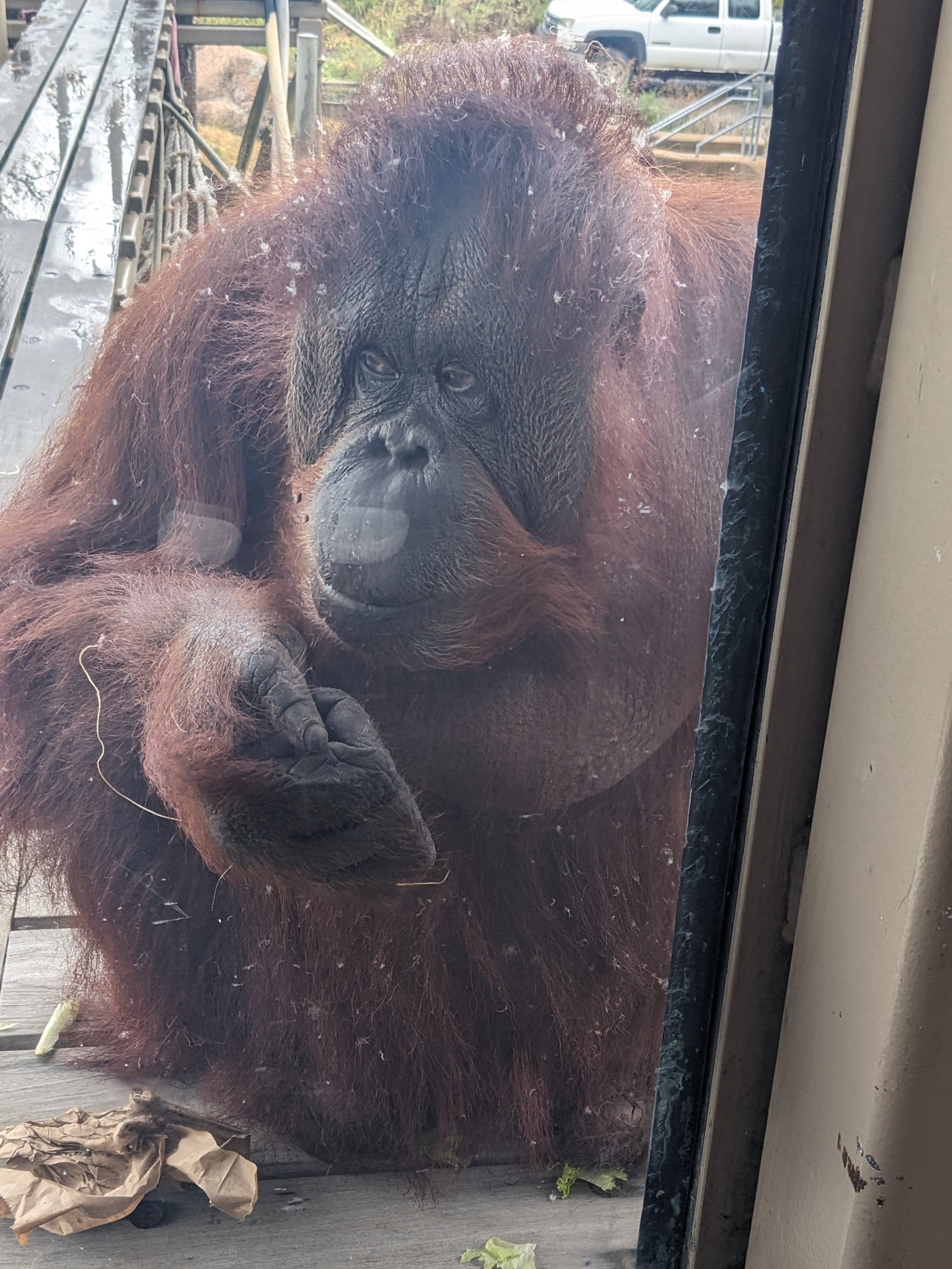 PXL 20241103 172130227