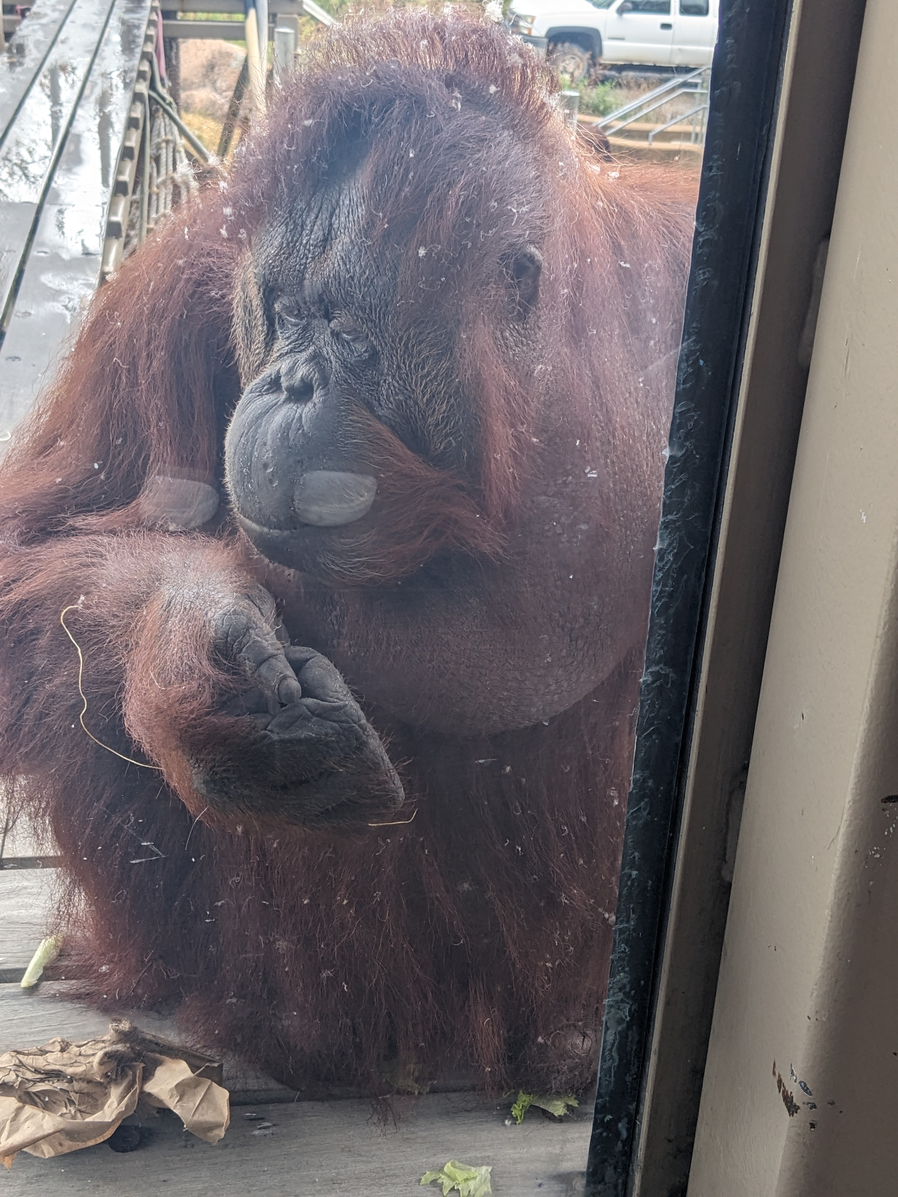 PXL 20241103 172131394