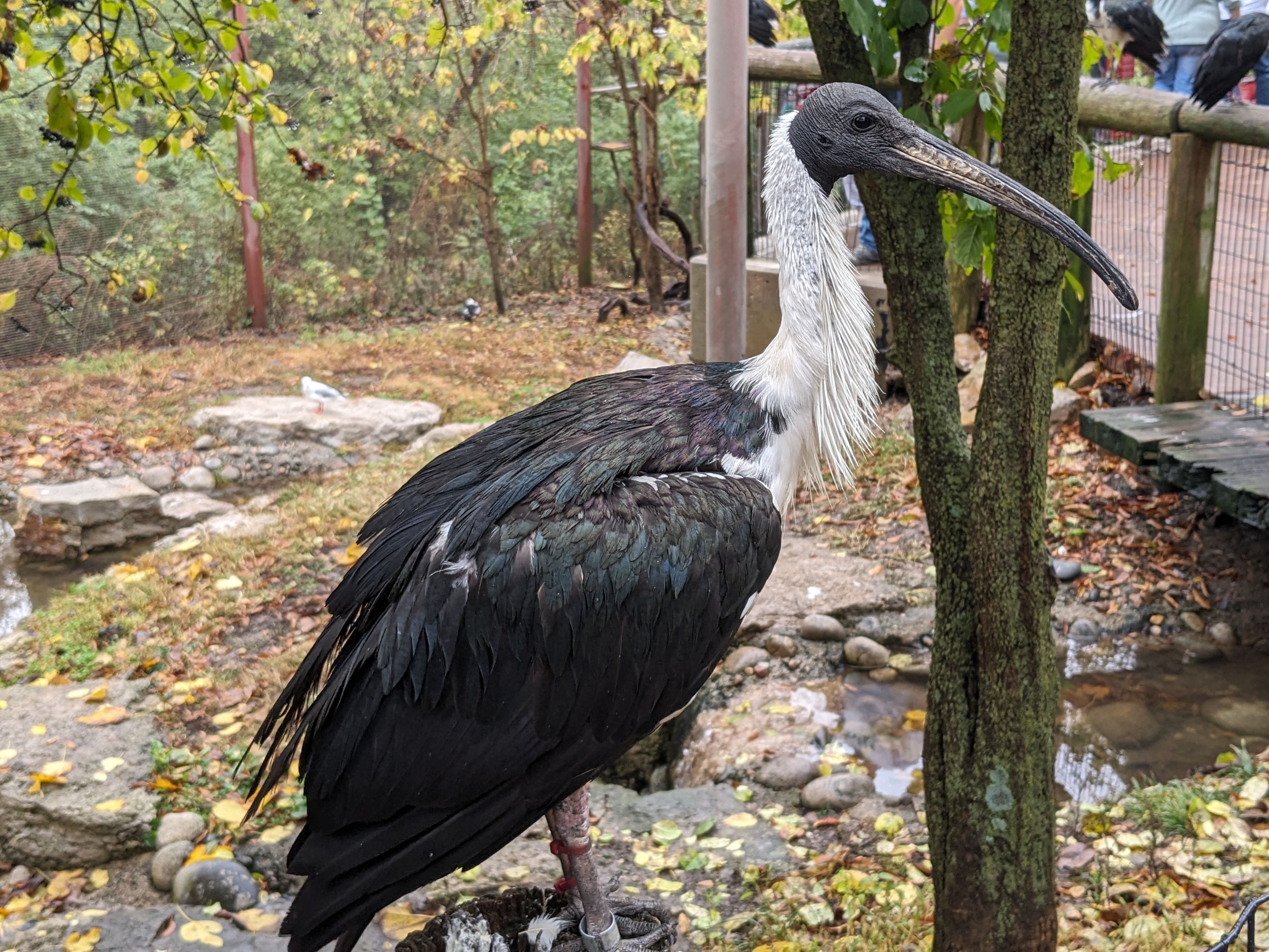 PXL 20241103 172945898