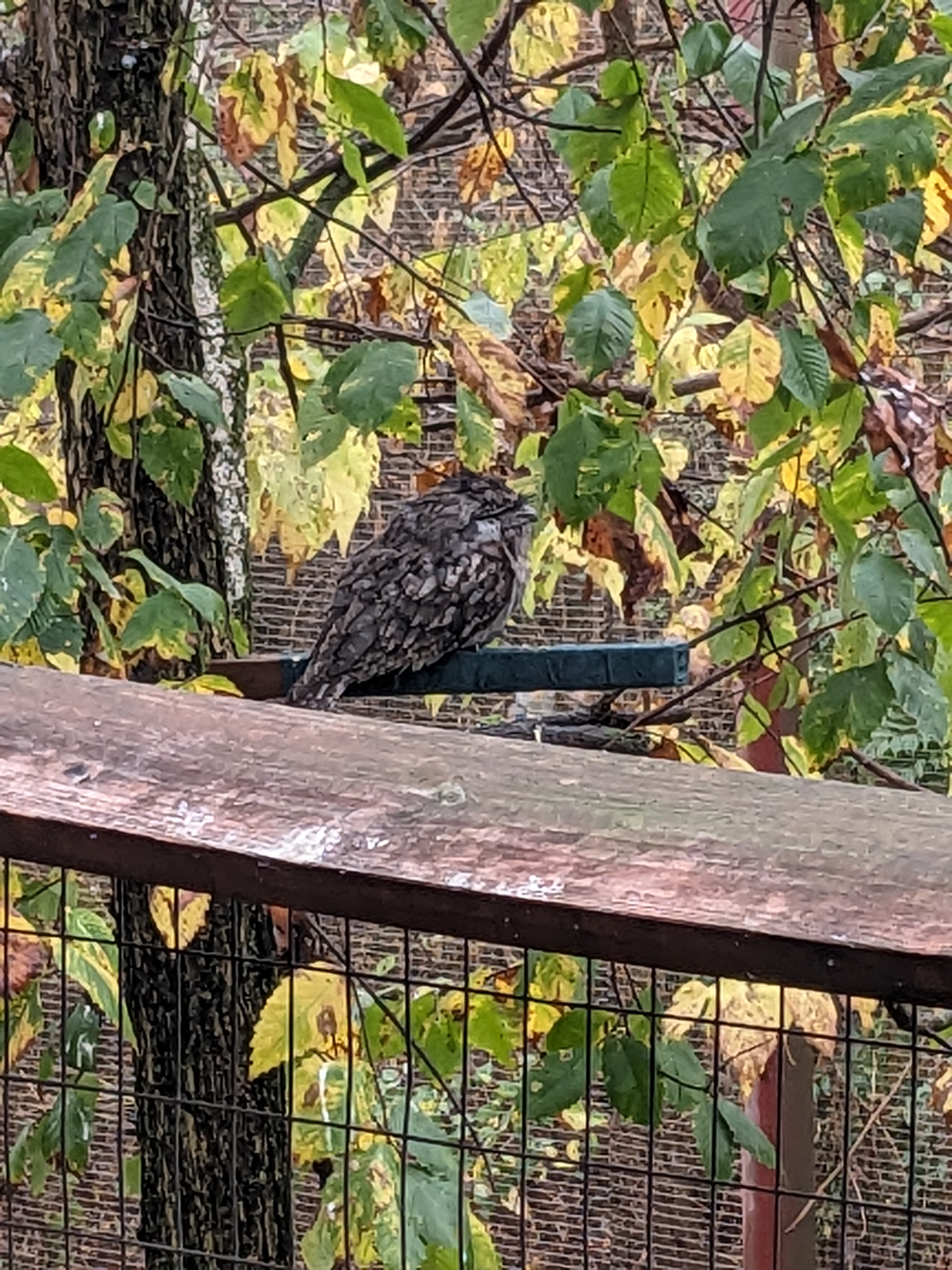 PXL 20241103 173216488