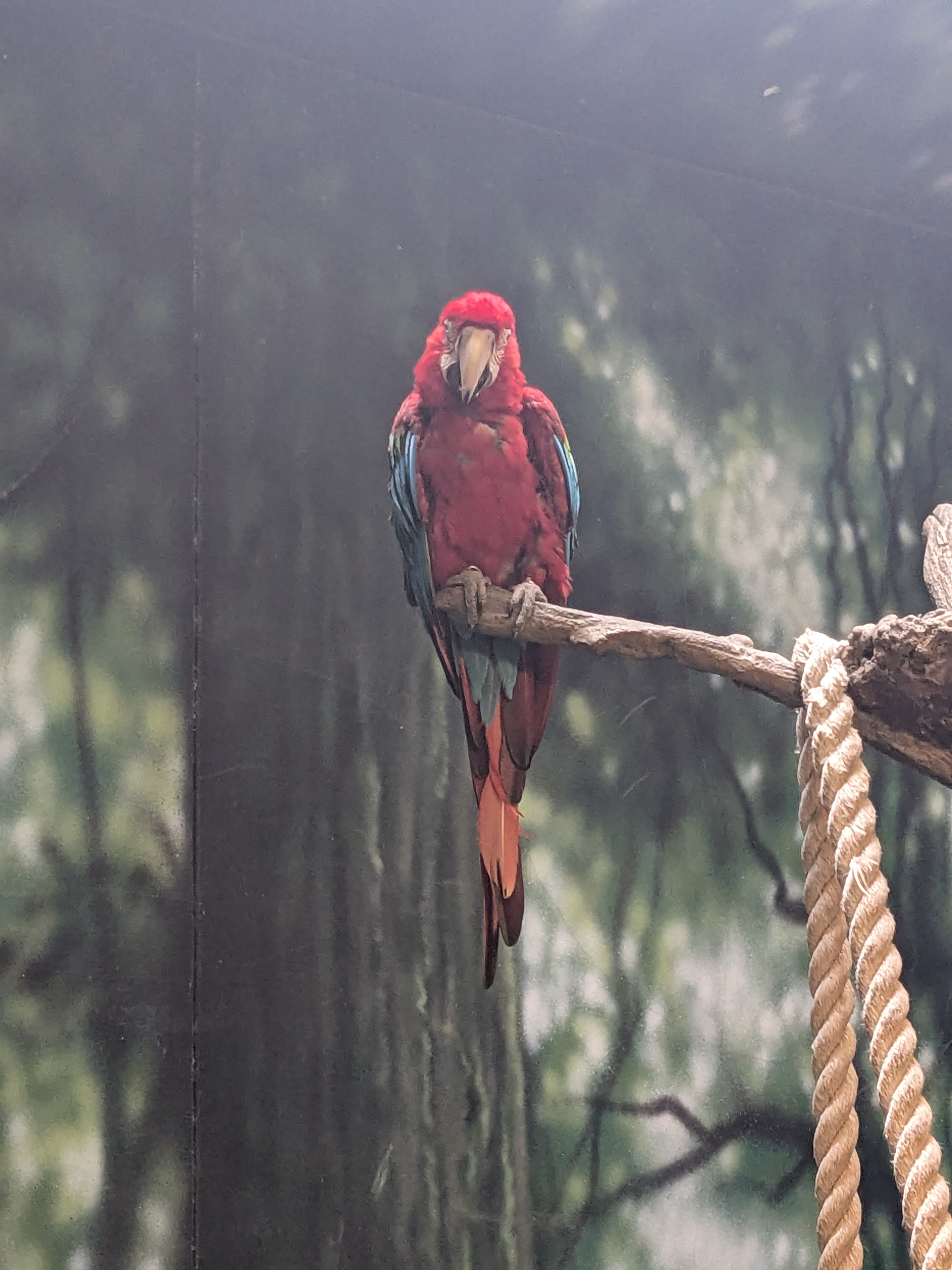 PXL 20241103 180515405