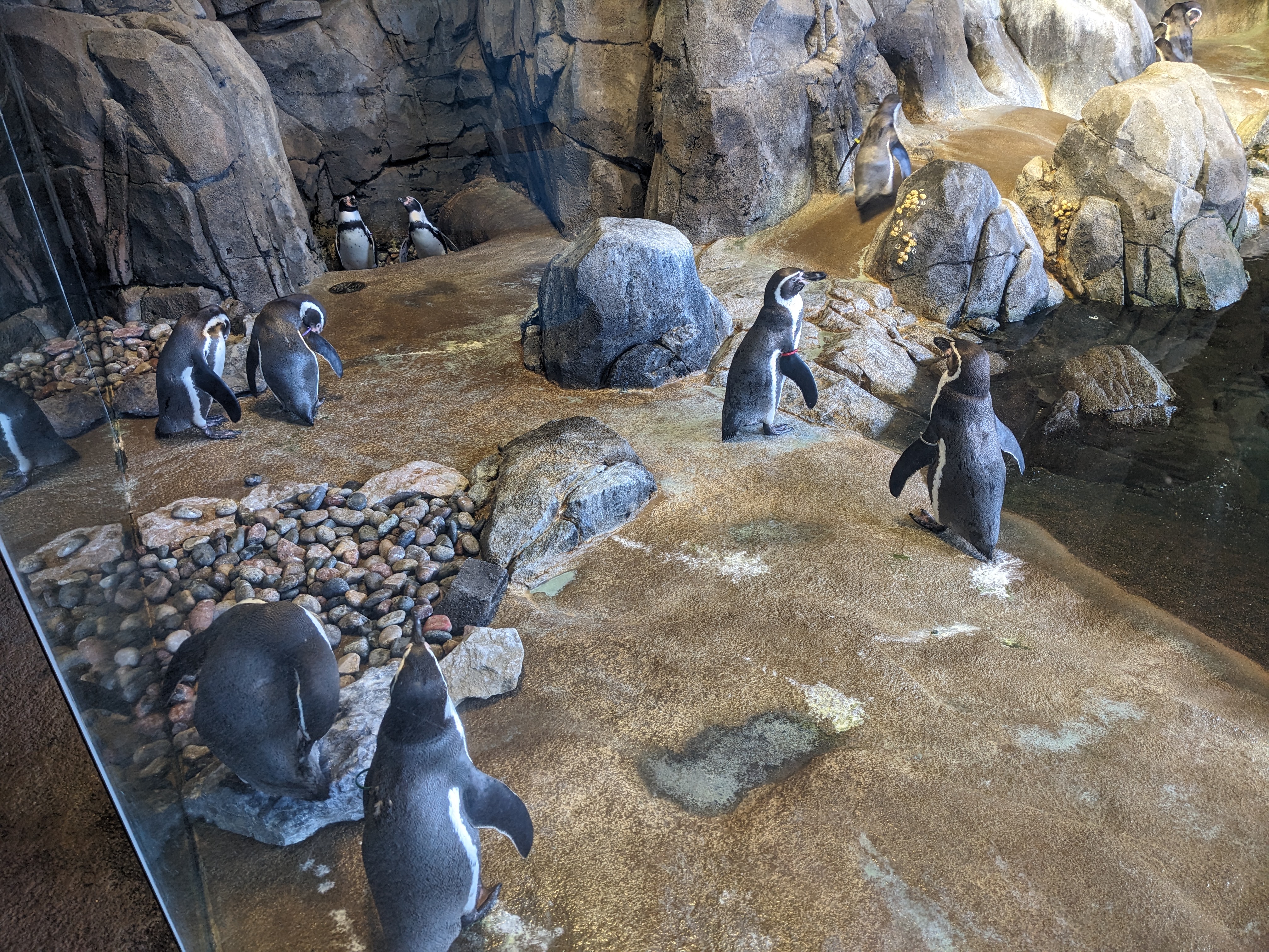 PXL 20241103 182002381