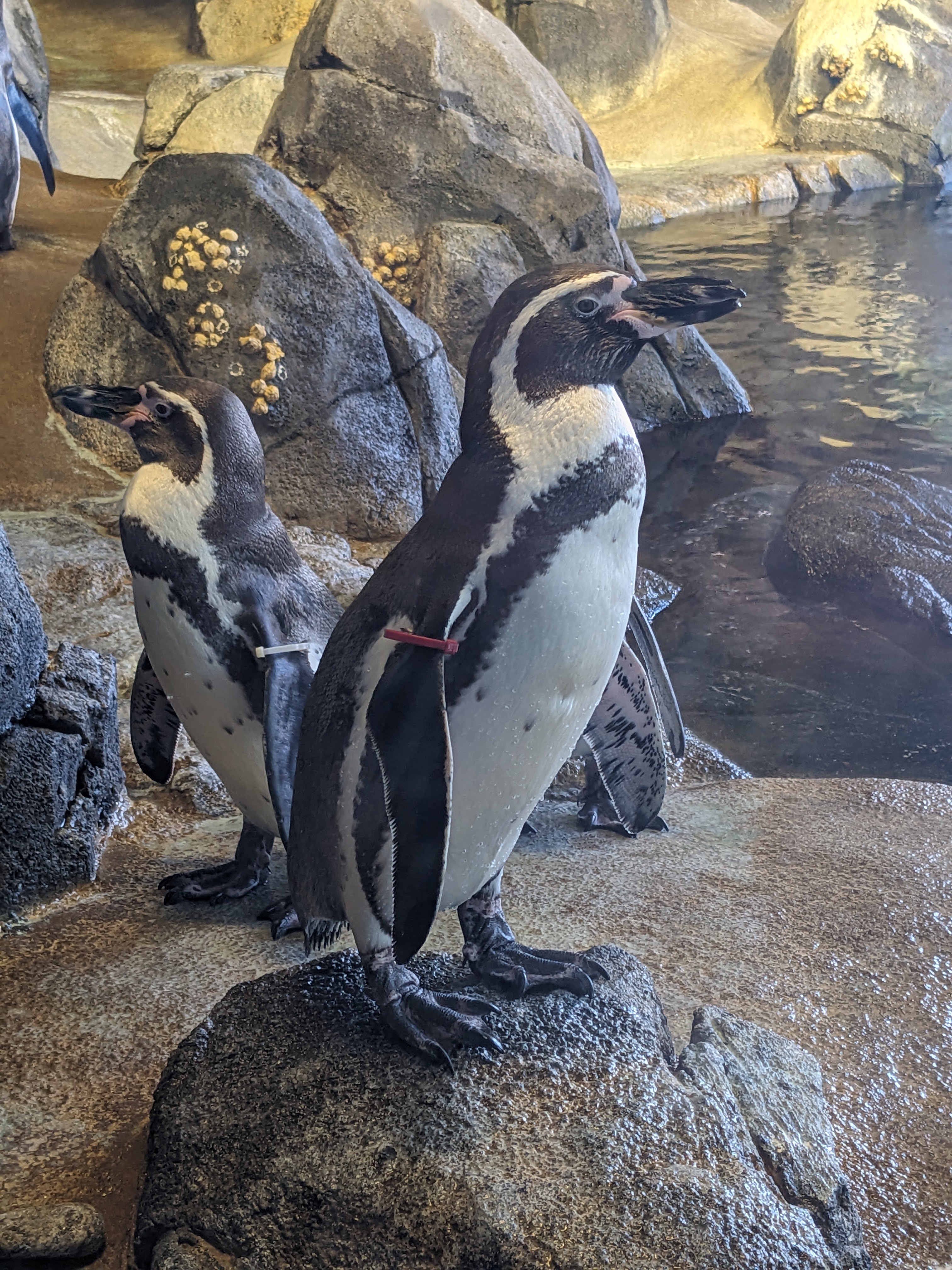 PXL 20241103 182522409