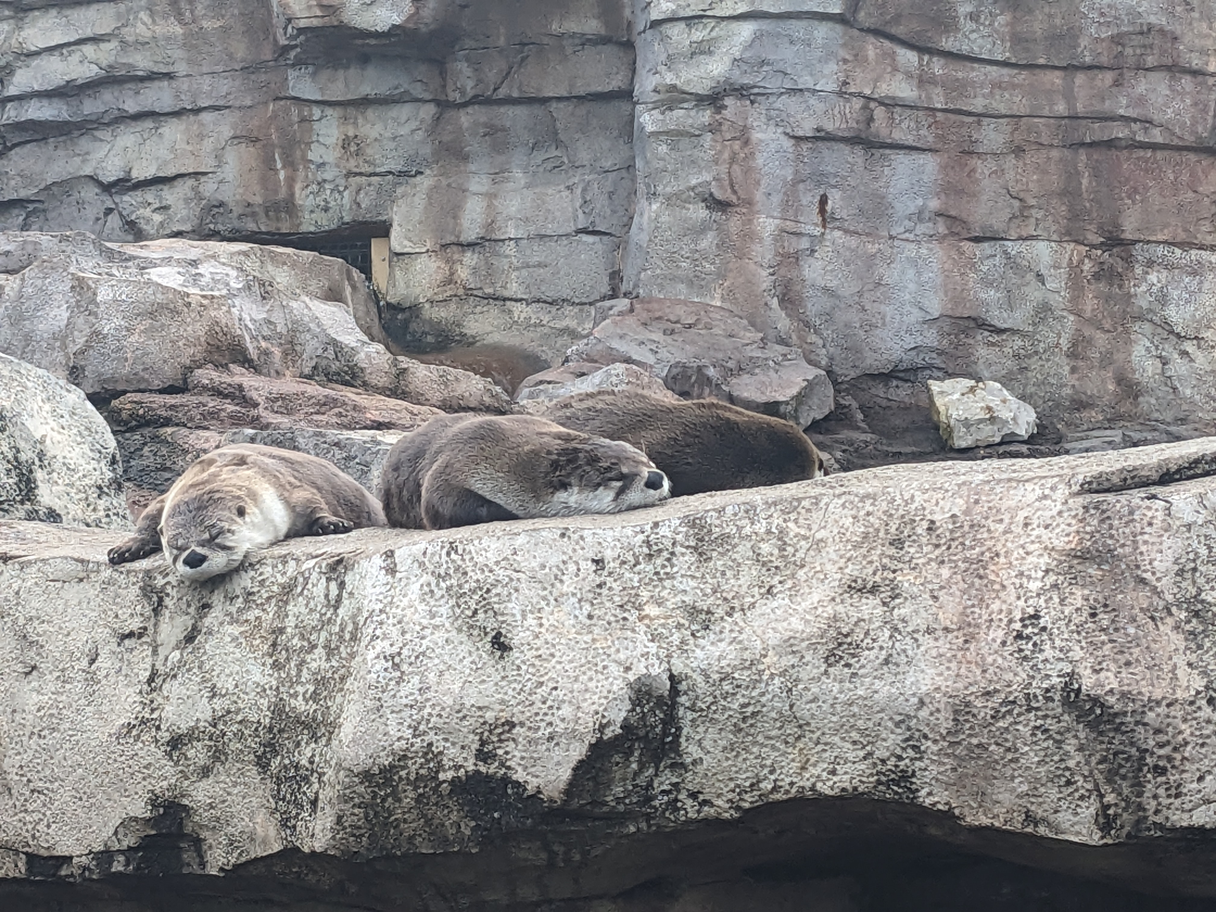 PXL 20241103 190803601