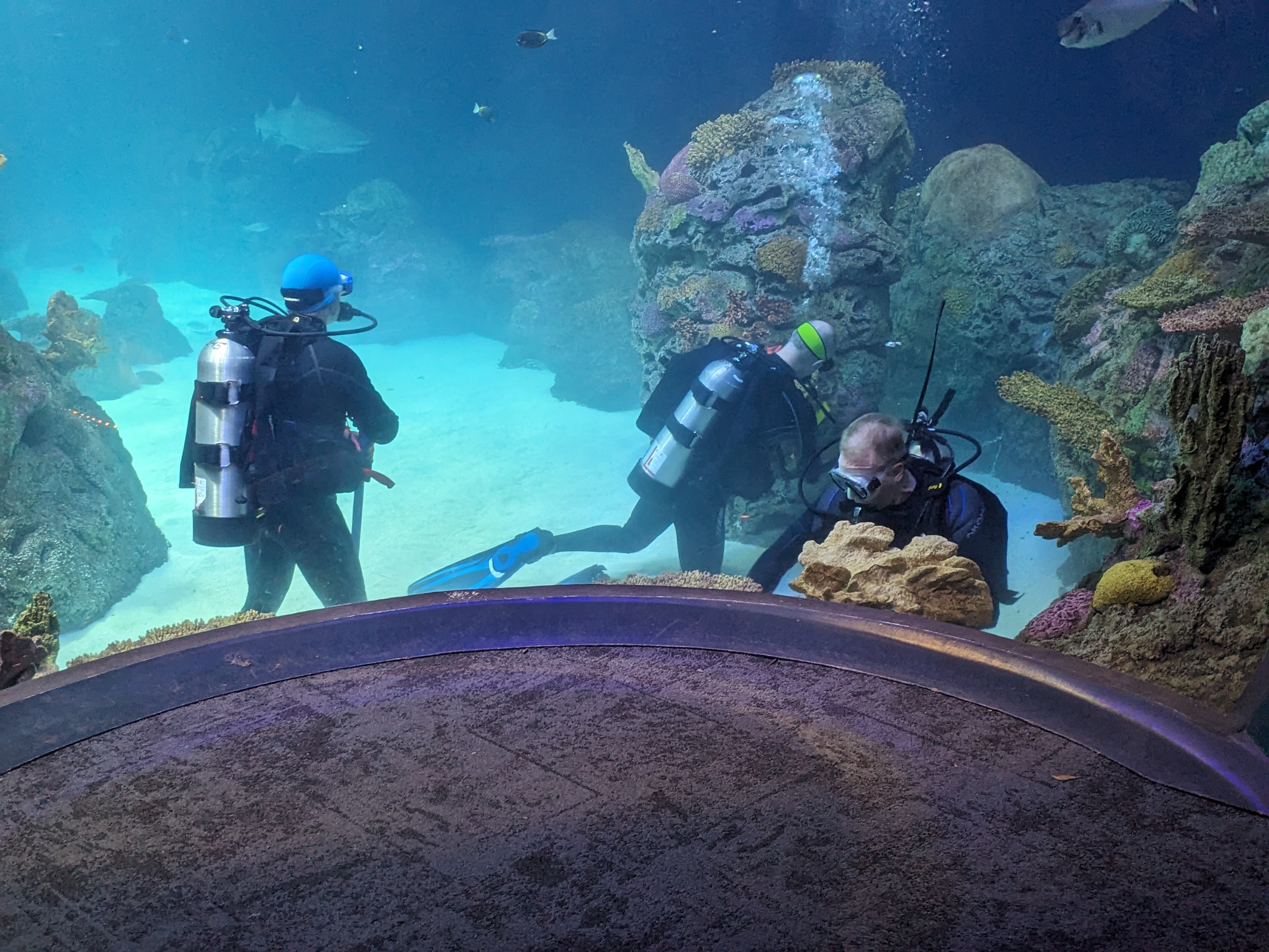 PXL 20241103 193147710