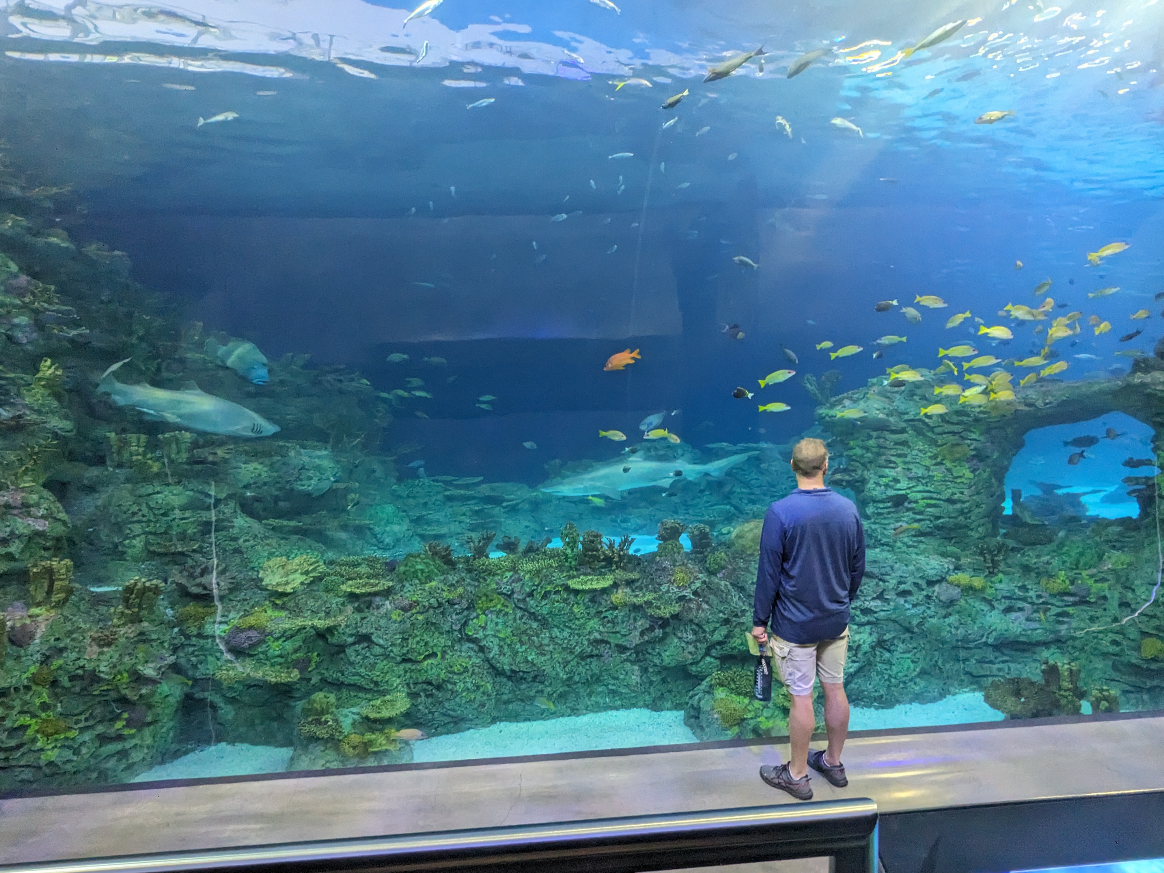 PXL 20241103 193603669