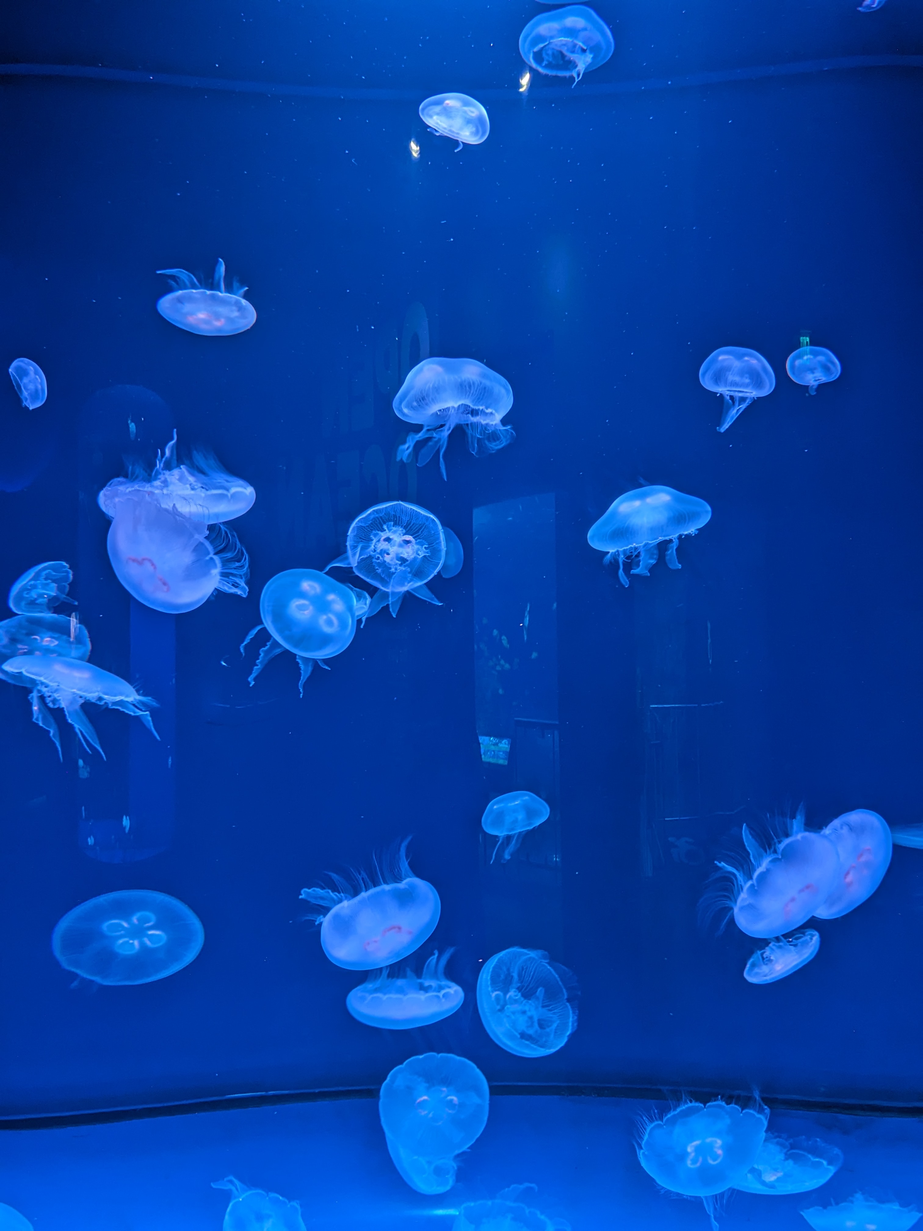 PXL 20241103 193737285