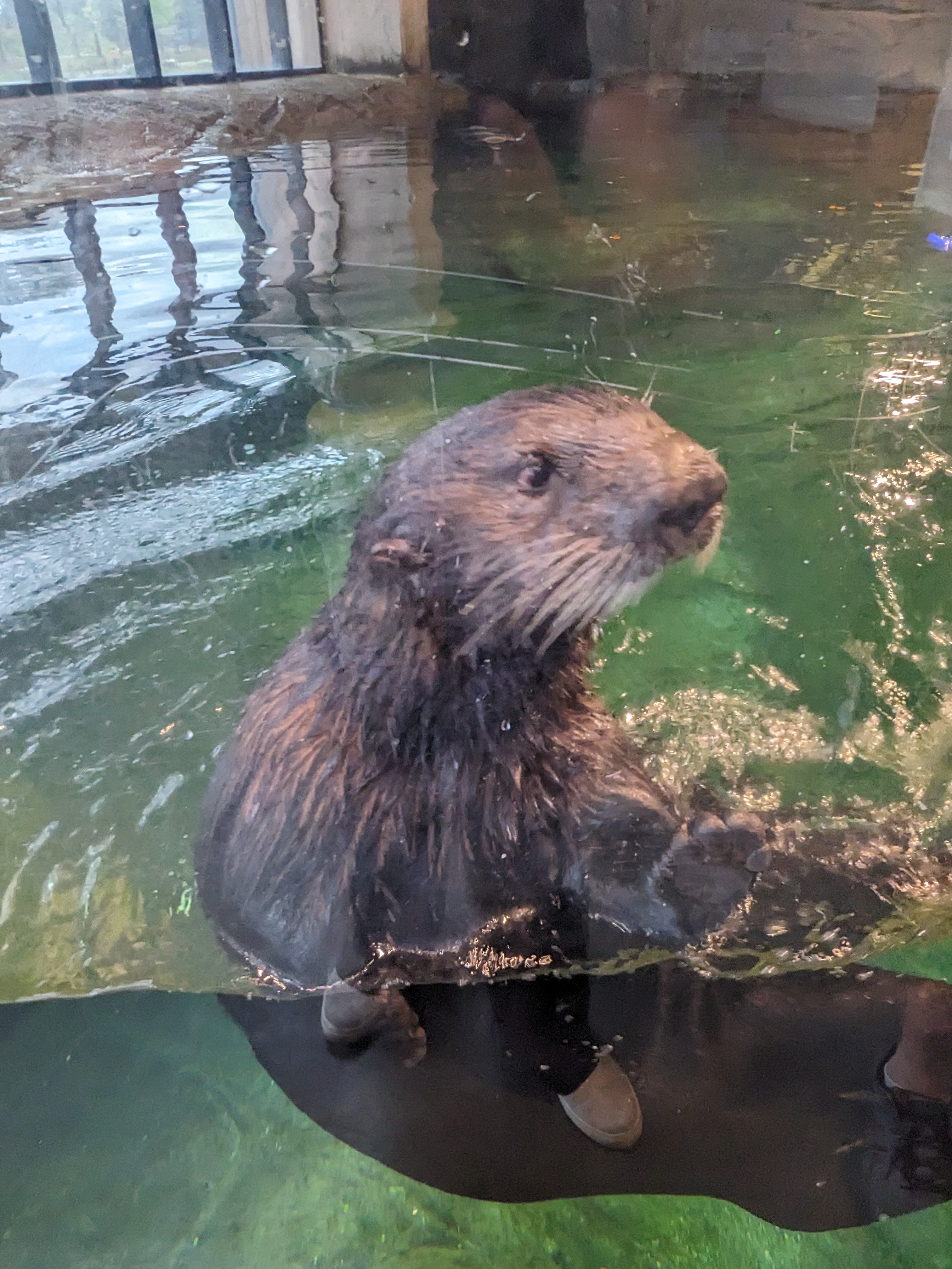 PXL 20241103 195016069