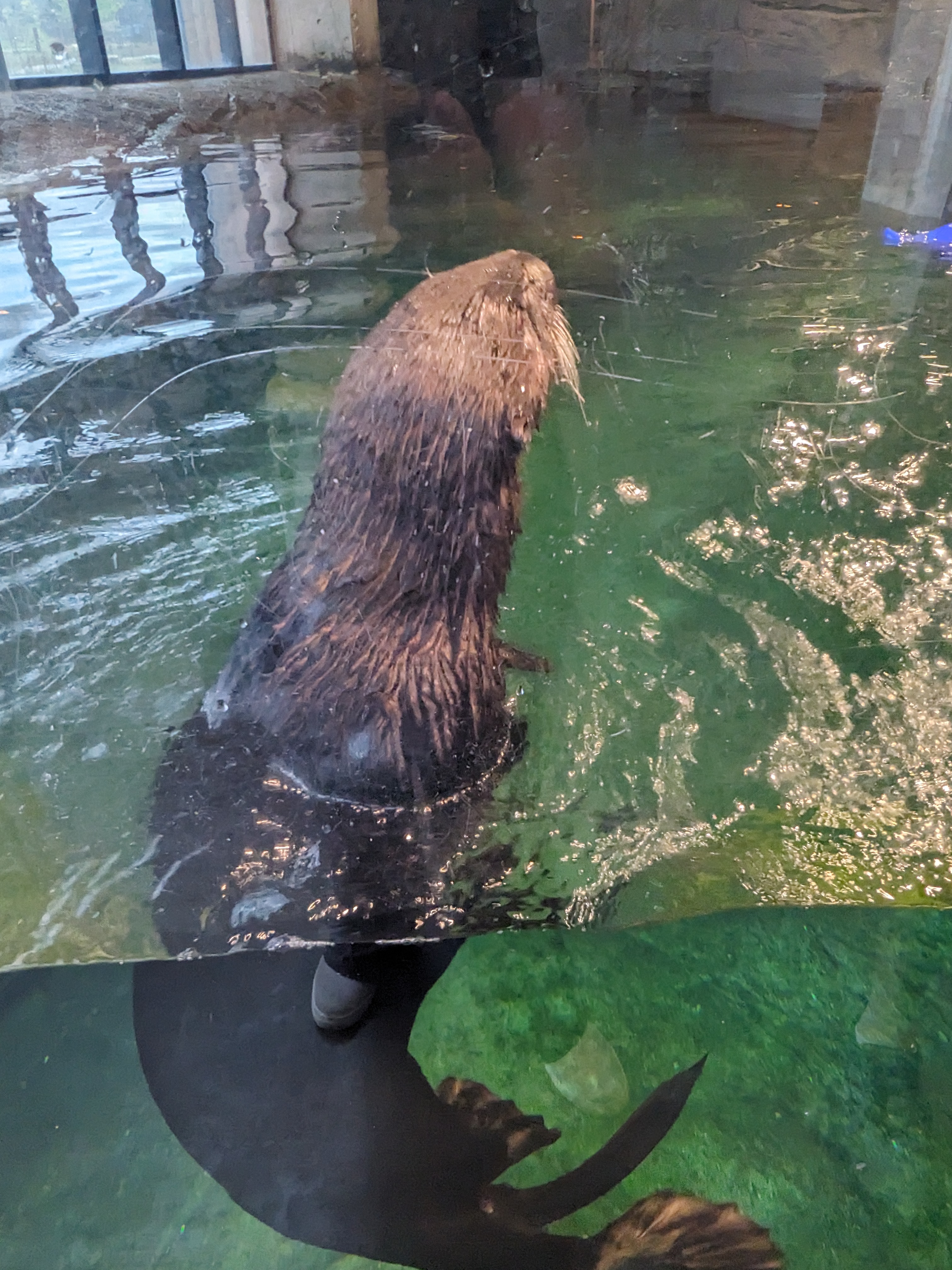 PXL 20241103 195017348