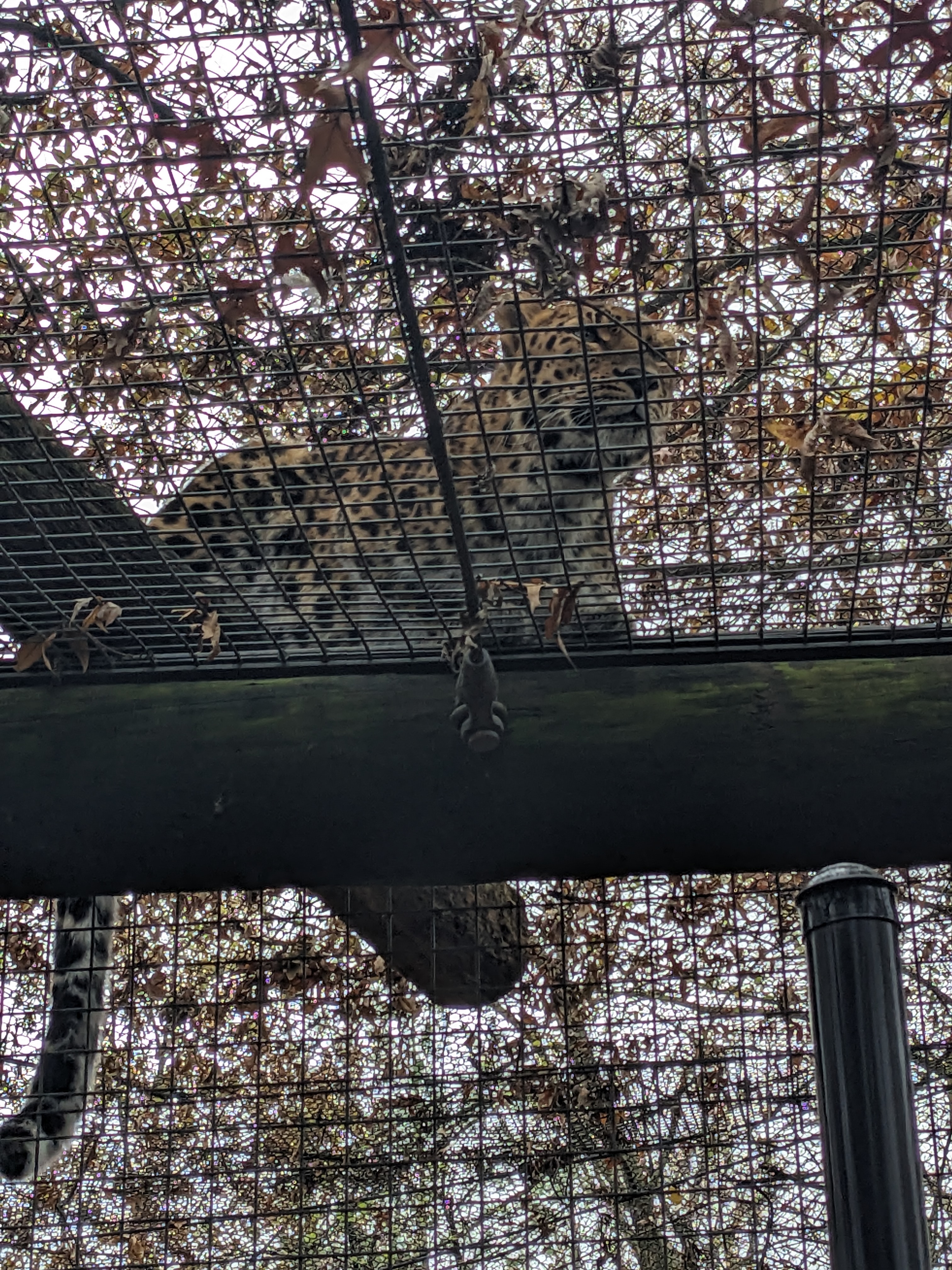 PXL 20241103 201532860