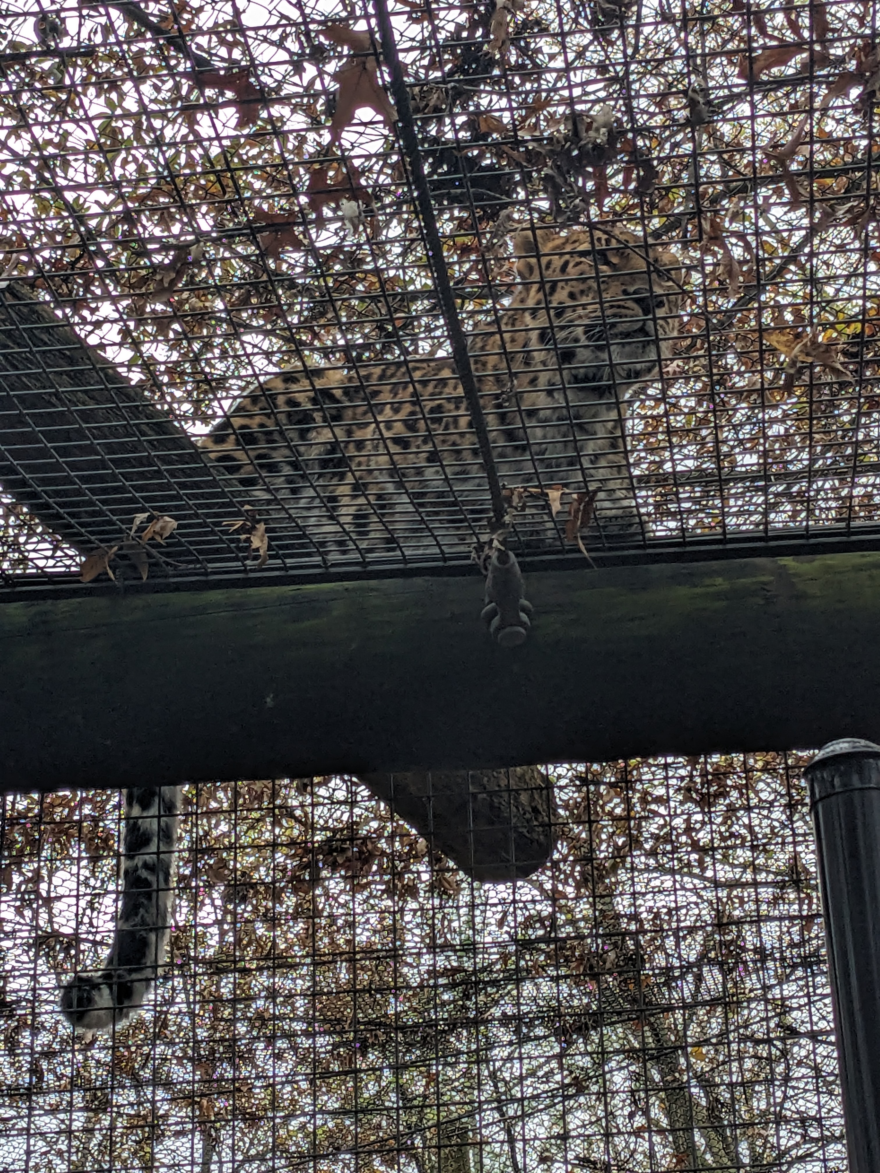 PXL 20241103 201535158