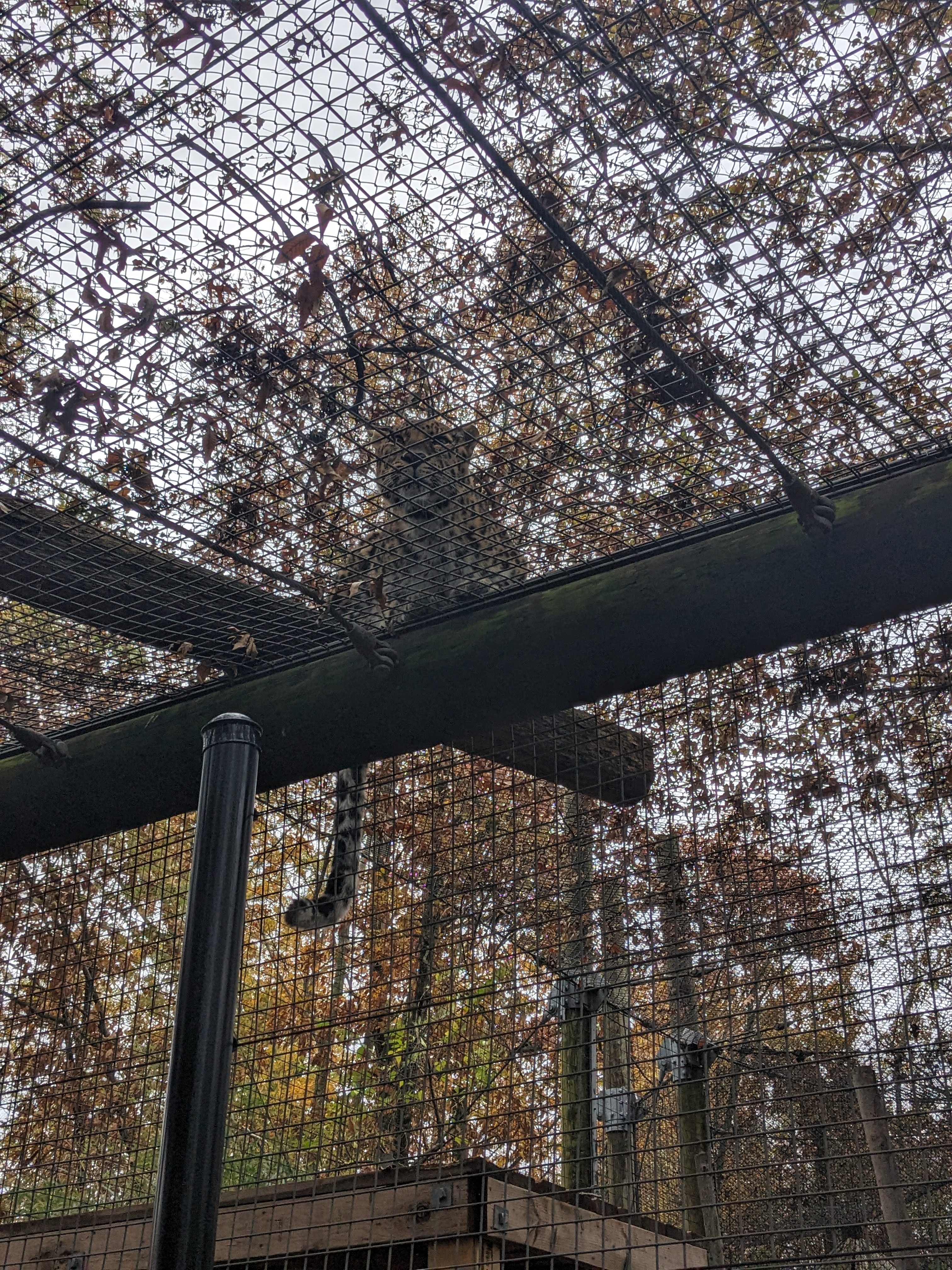 PXL 20241103 201606897