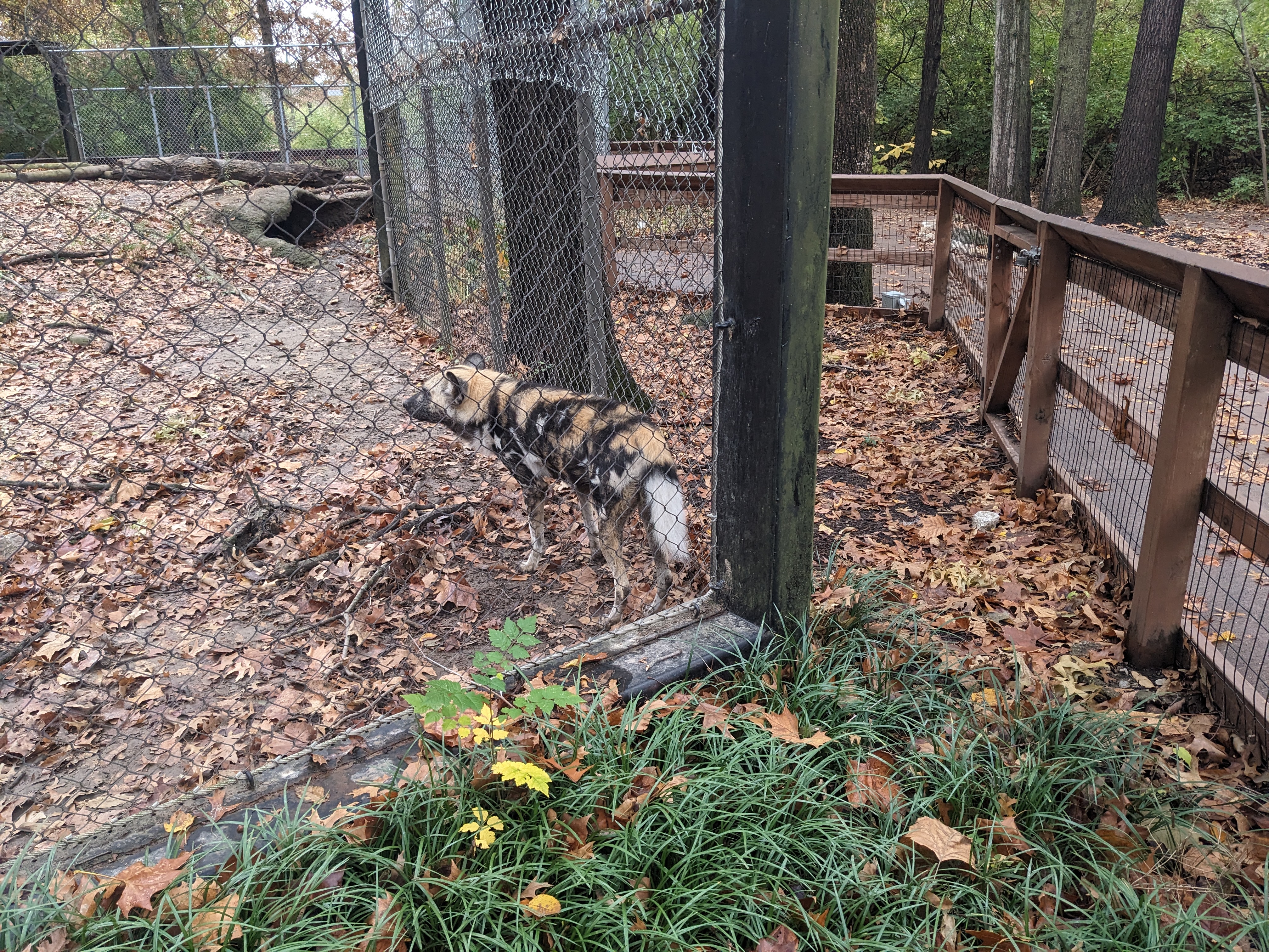 PXL 20241103 211035106