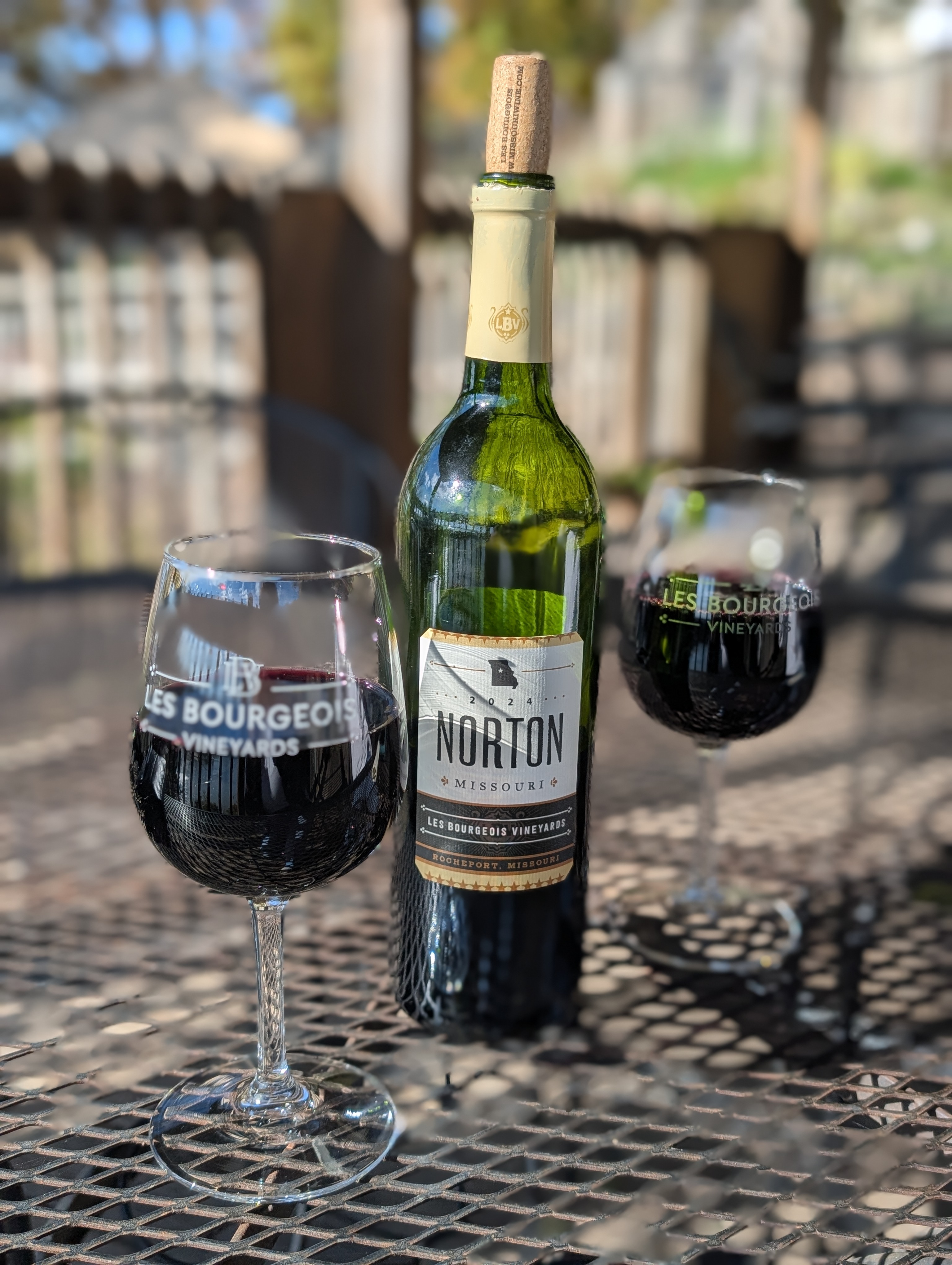 PXL 20251102 194311423.PORTRAIT