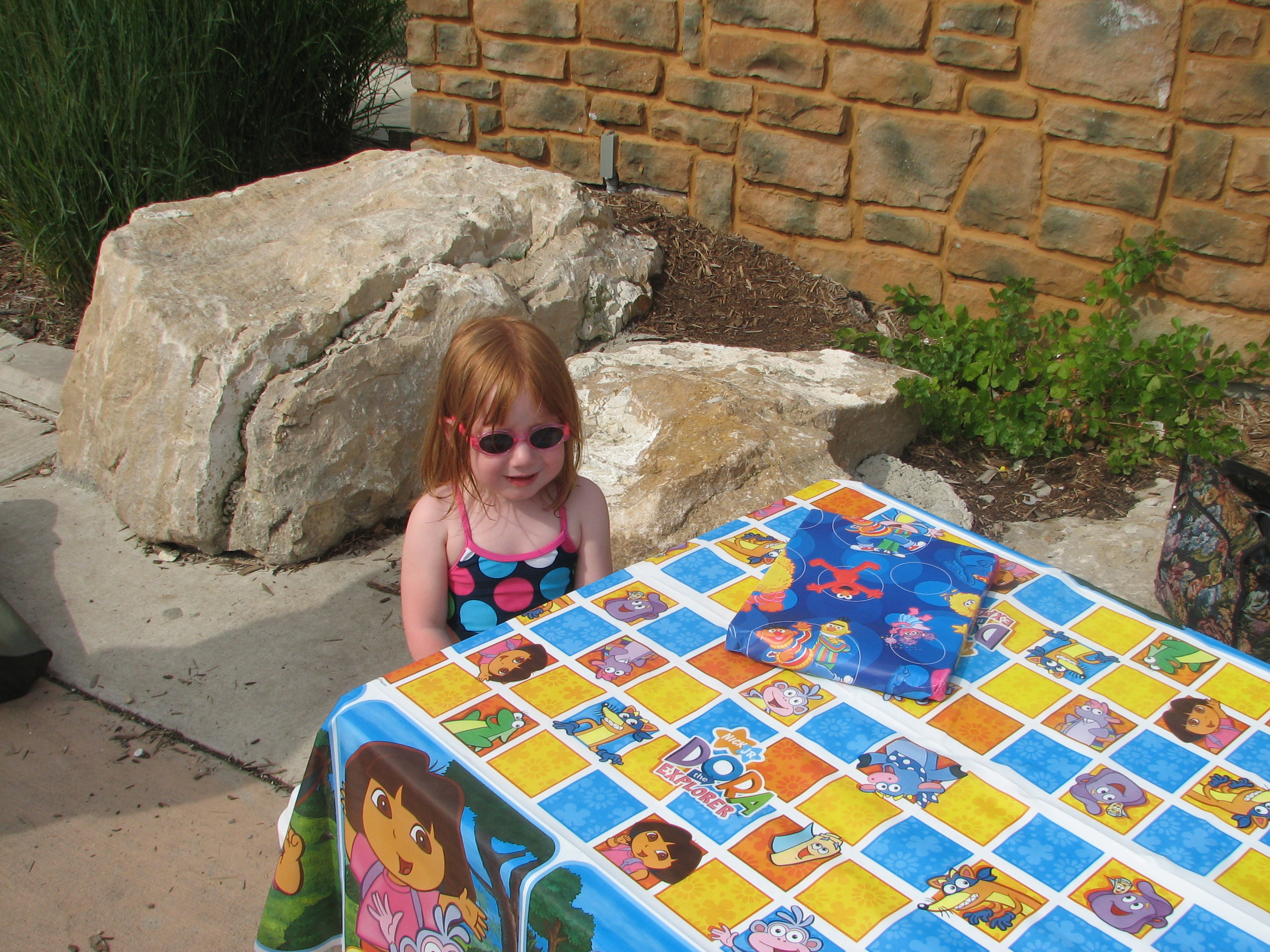 Laura Turns 3! (2009)