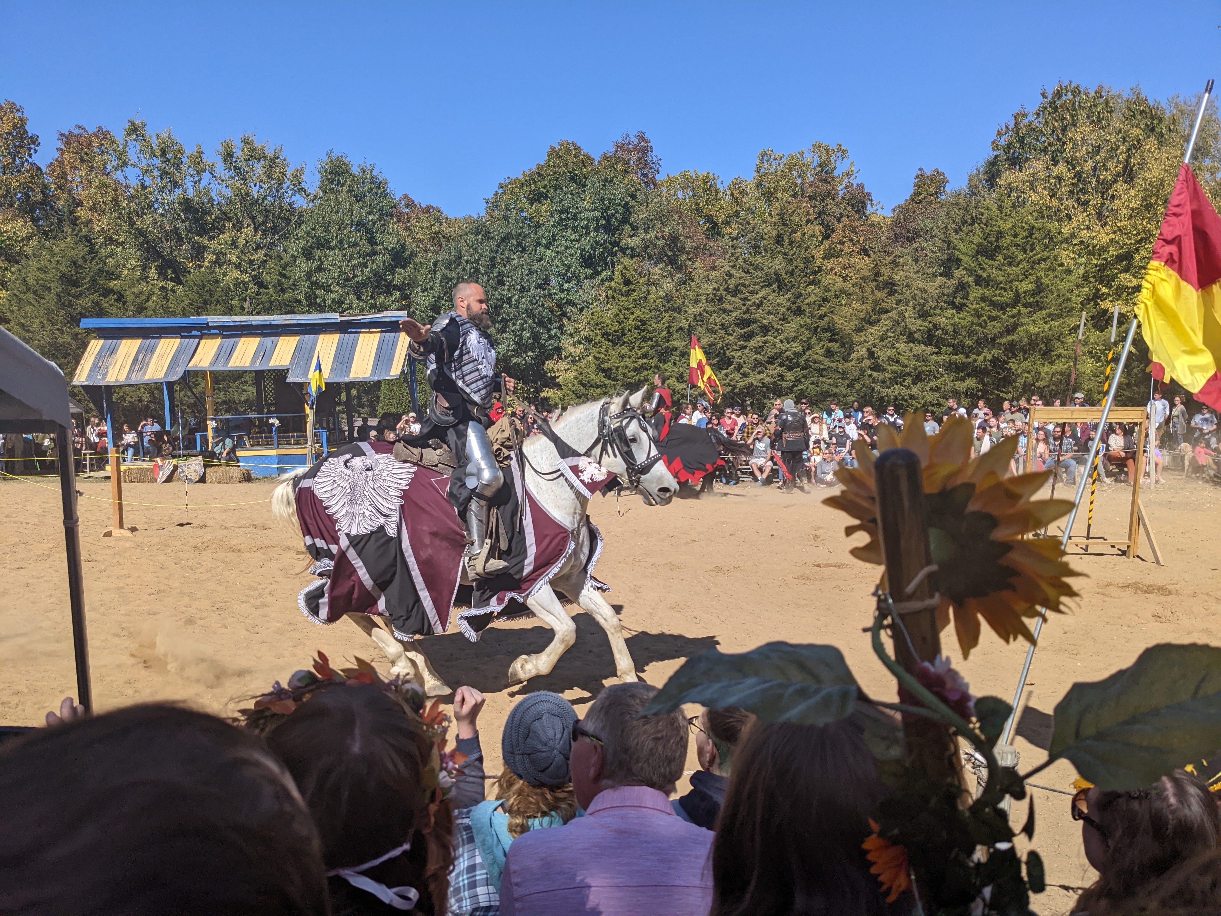 PXL 20221009 190032851