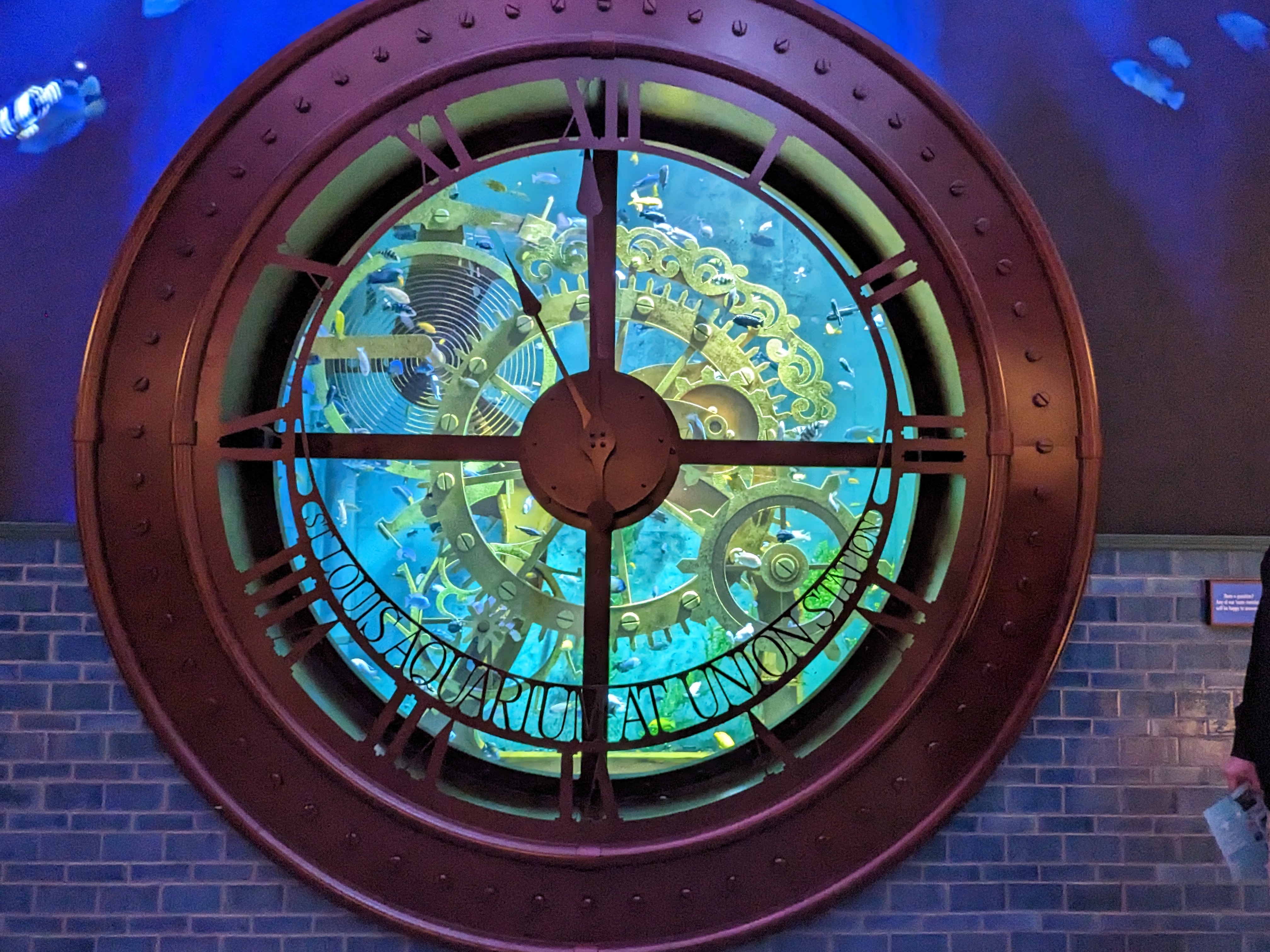 PXL 20221227 165828670