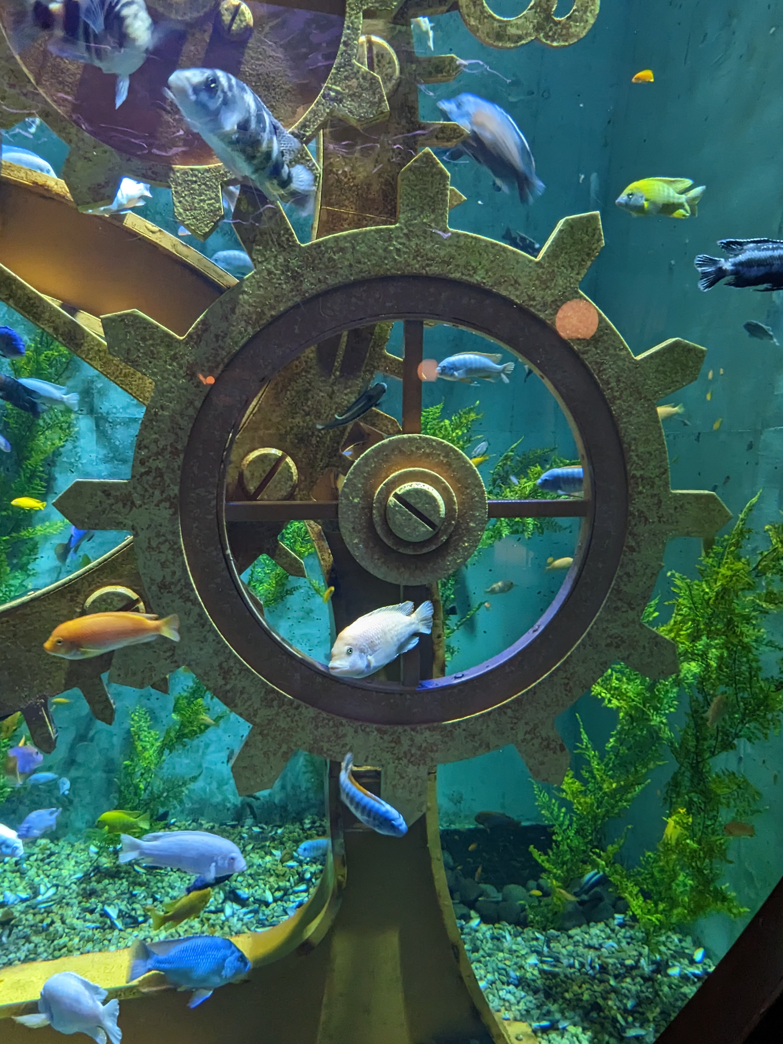 PXL 20221227 165844906