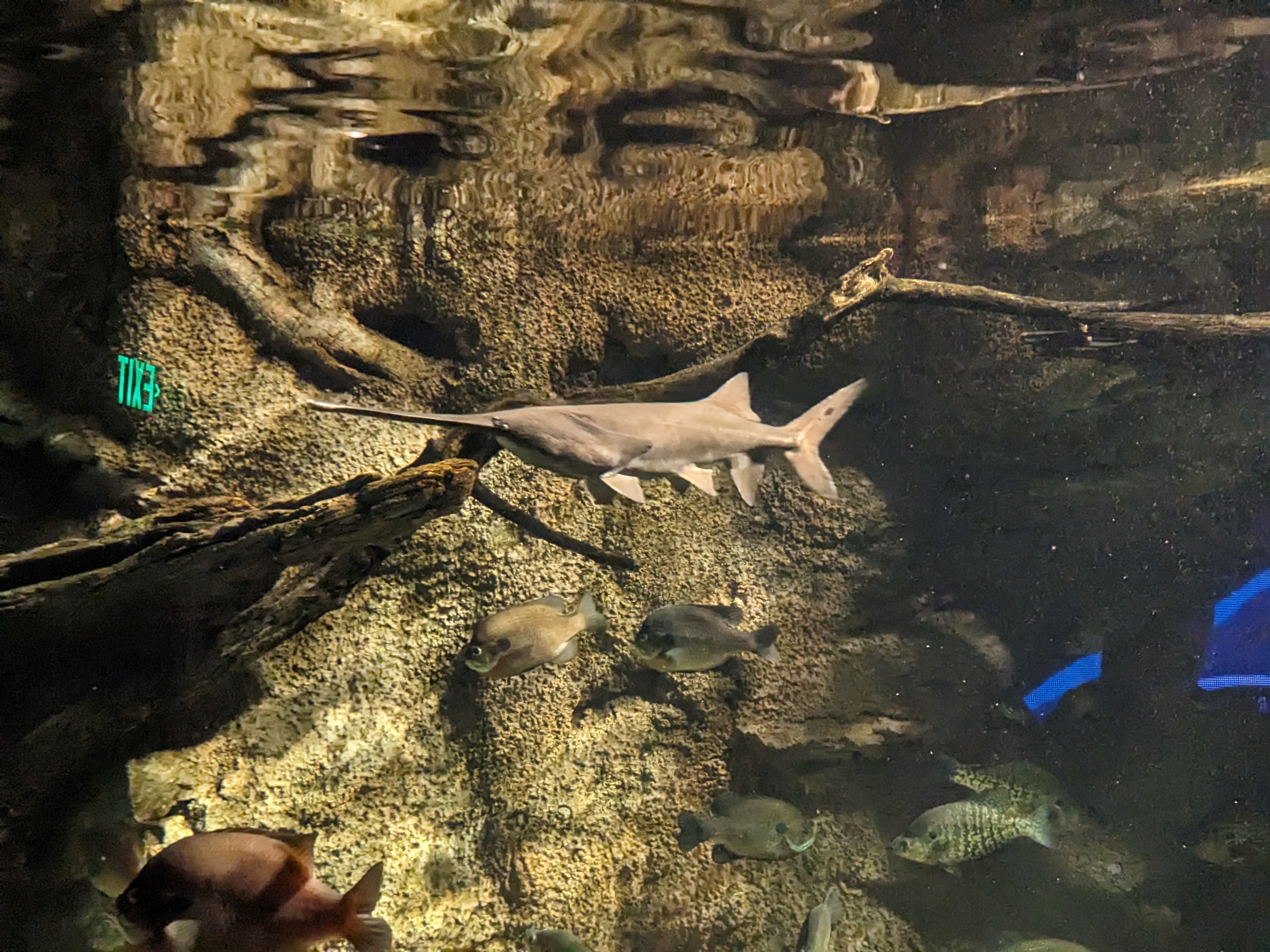 PXL 20221227 170646502