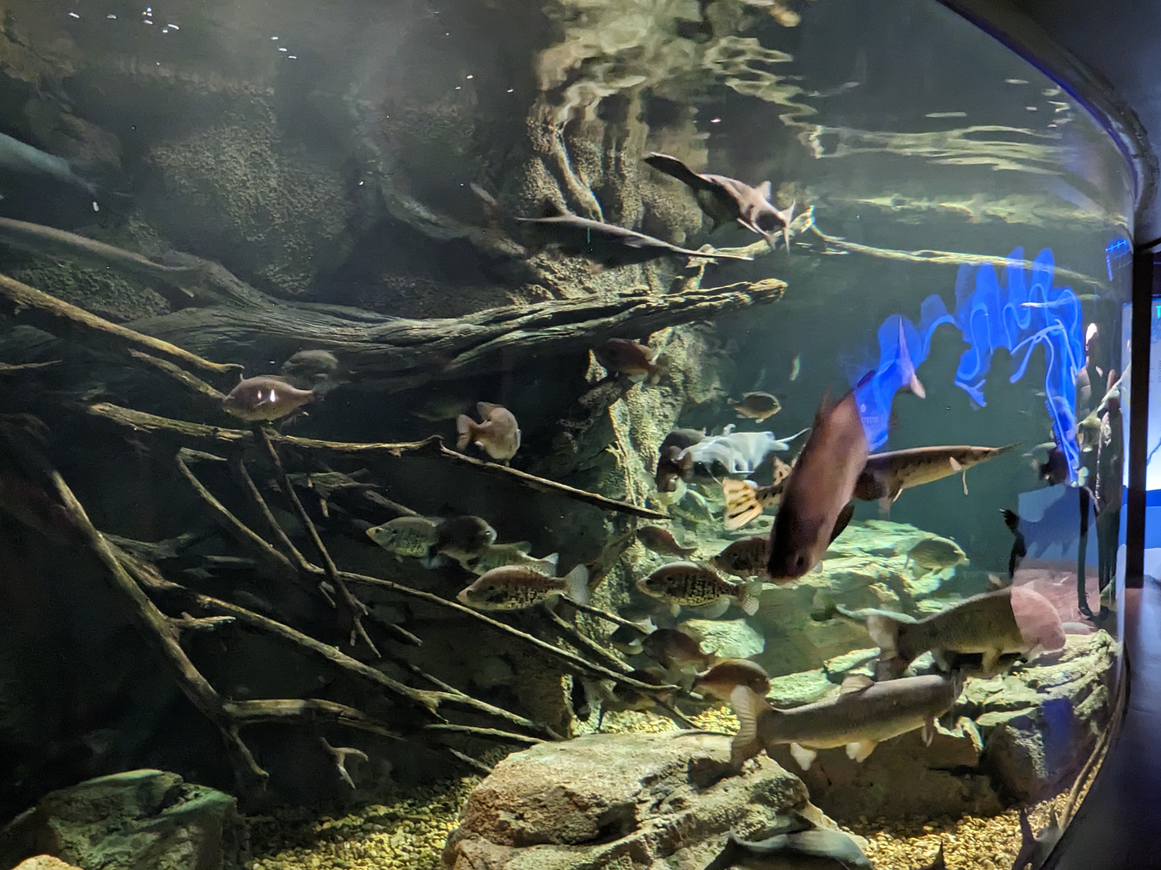 PXL 20221227 170834169