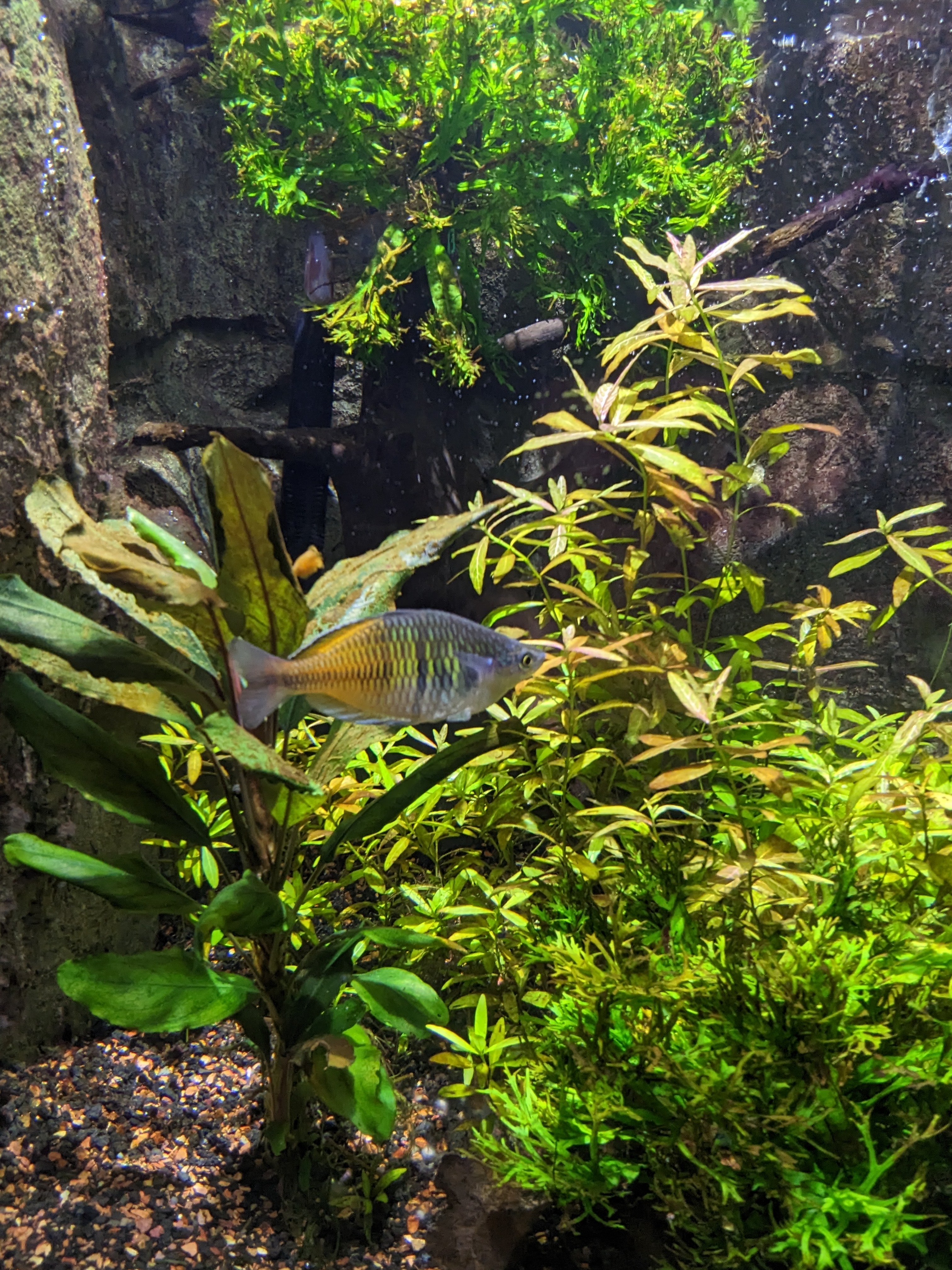 PXL 20221227 170916544