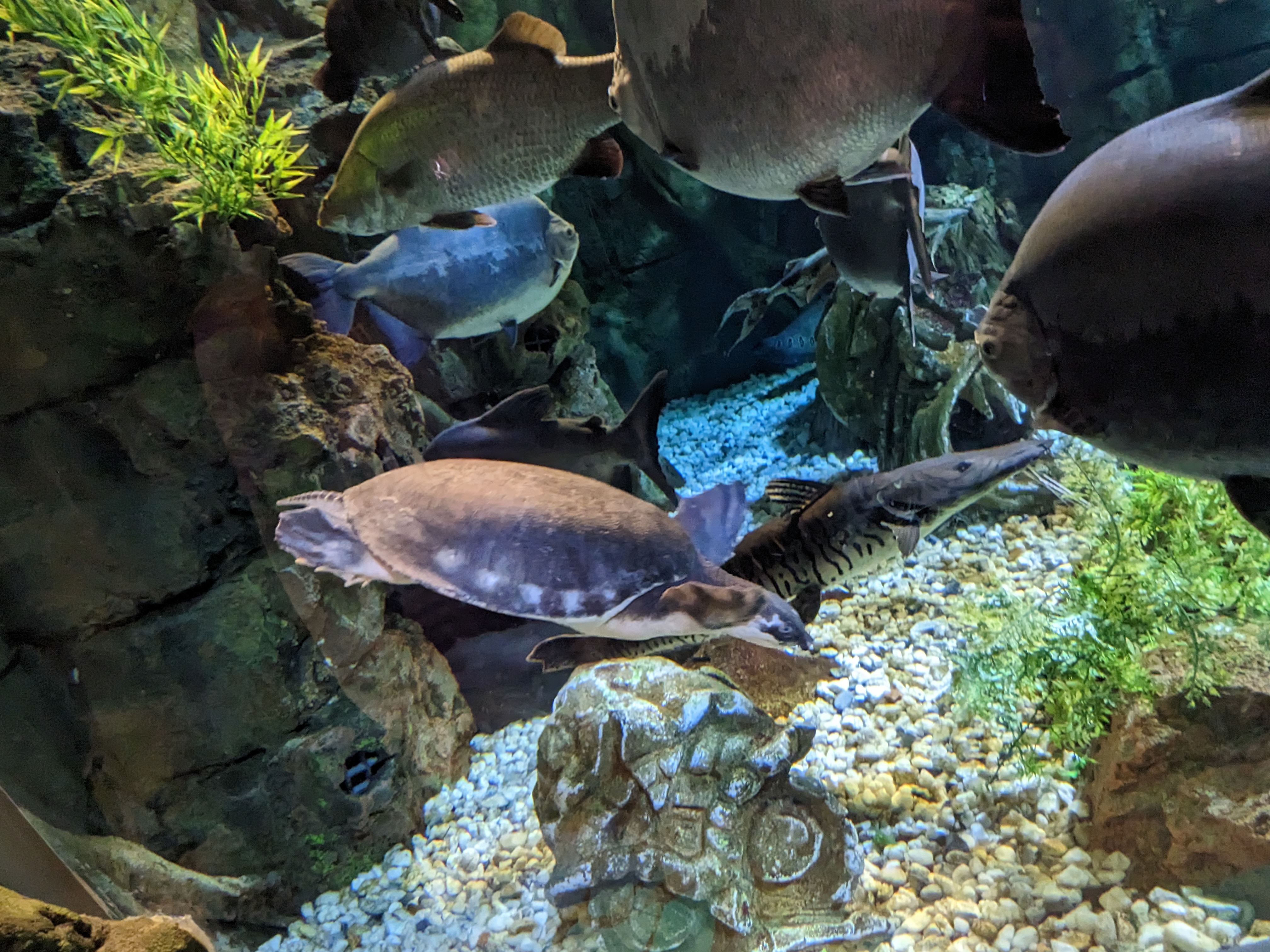 PXL 20221227 171420222