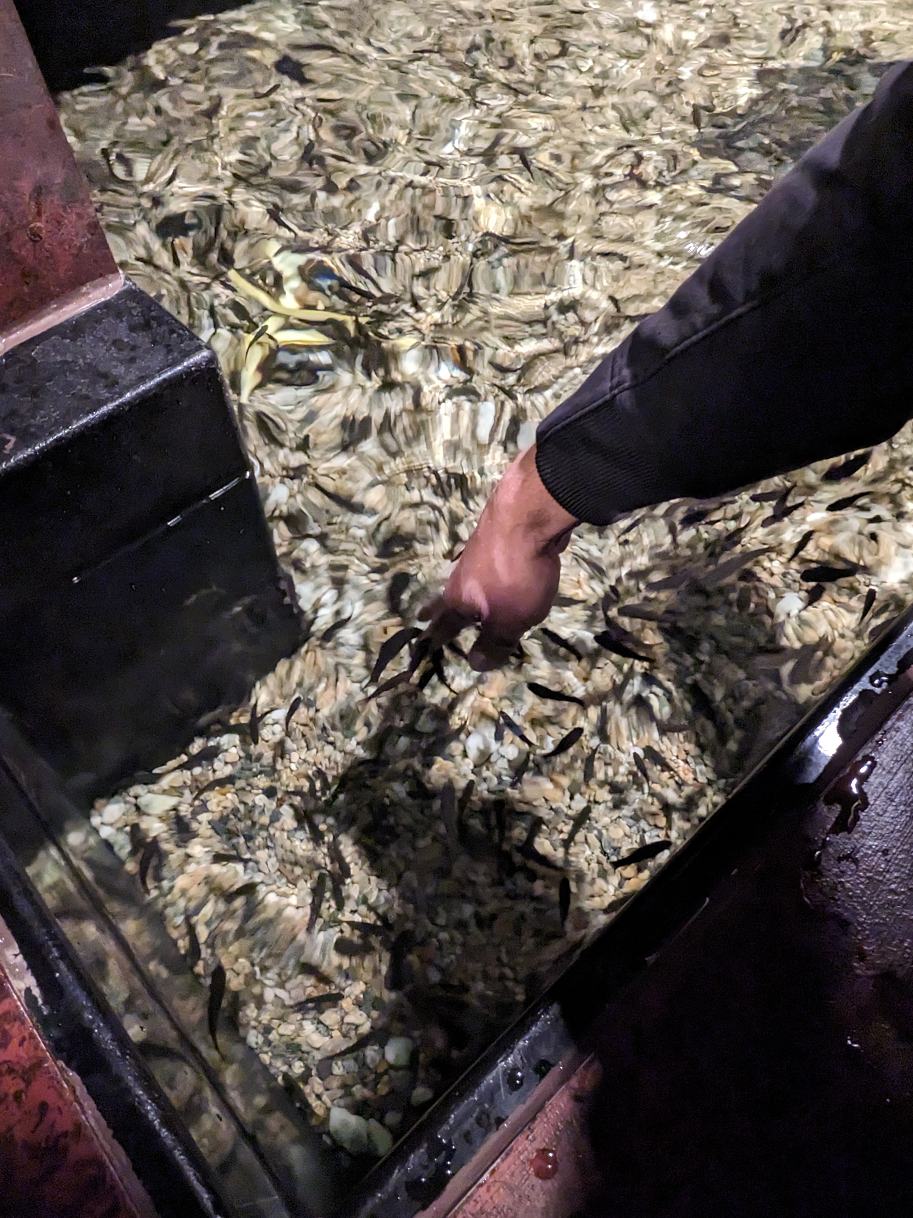 PXL 20221227 171642425