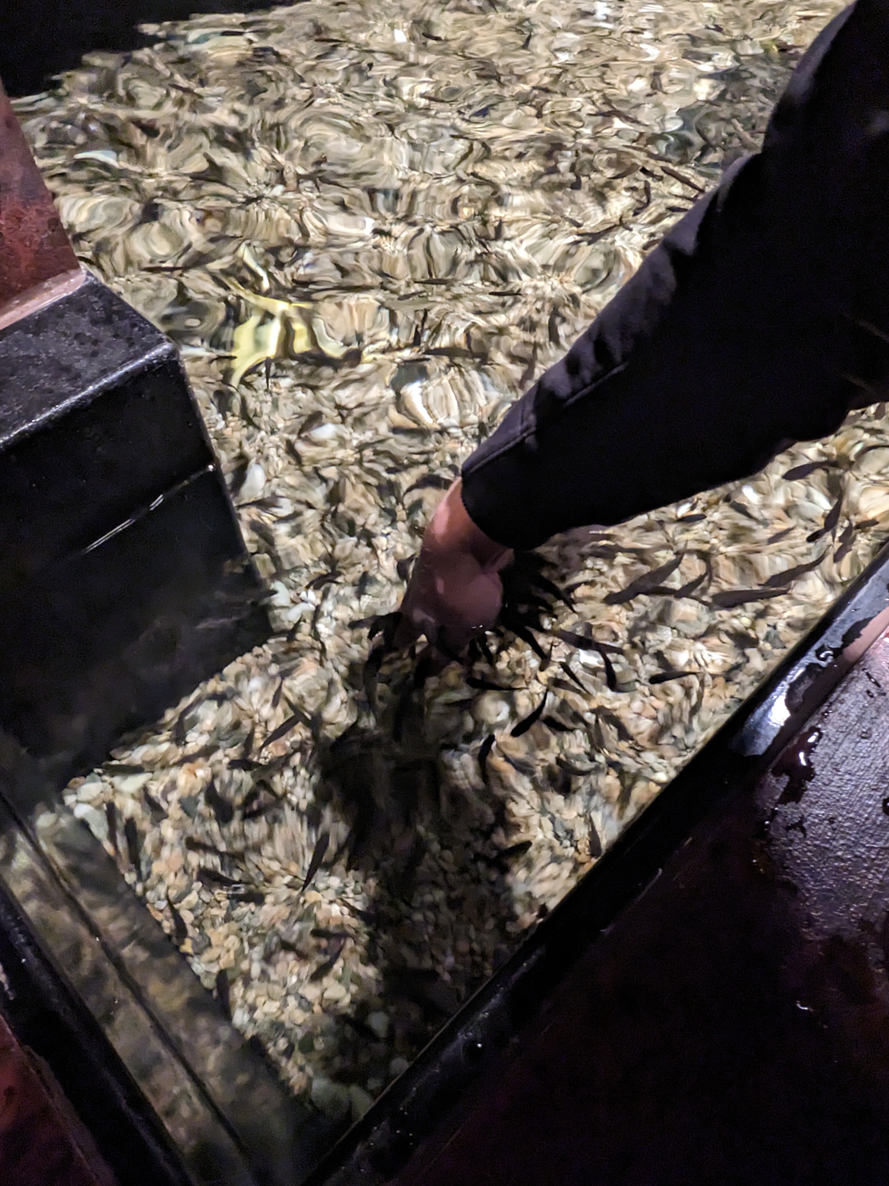 PXL 20221227 171644446