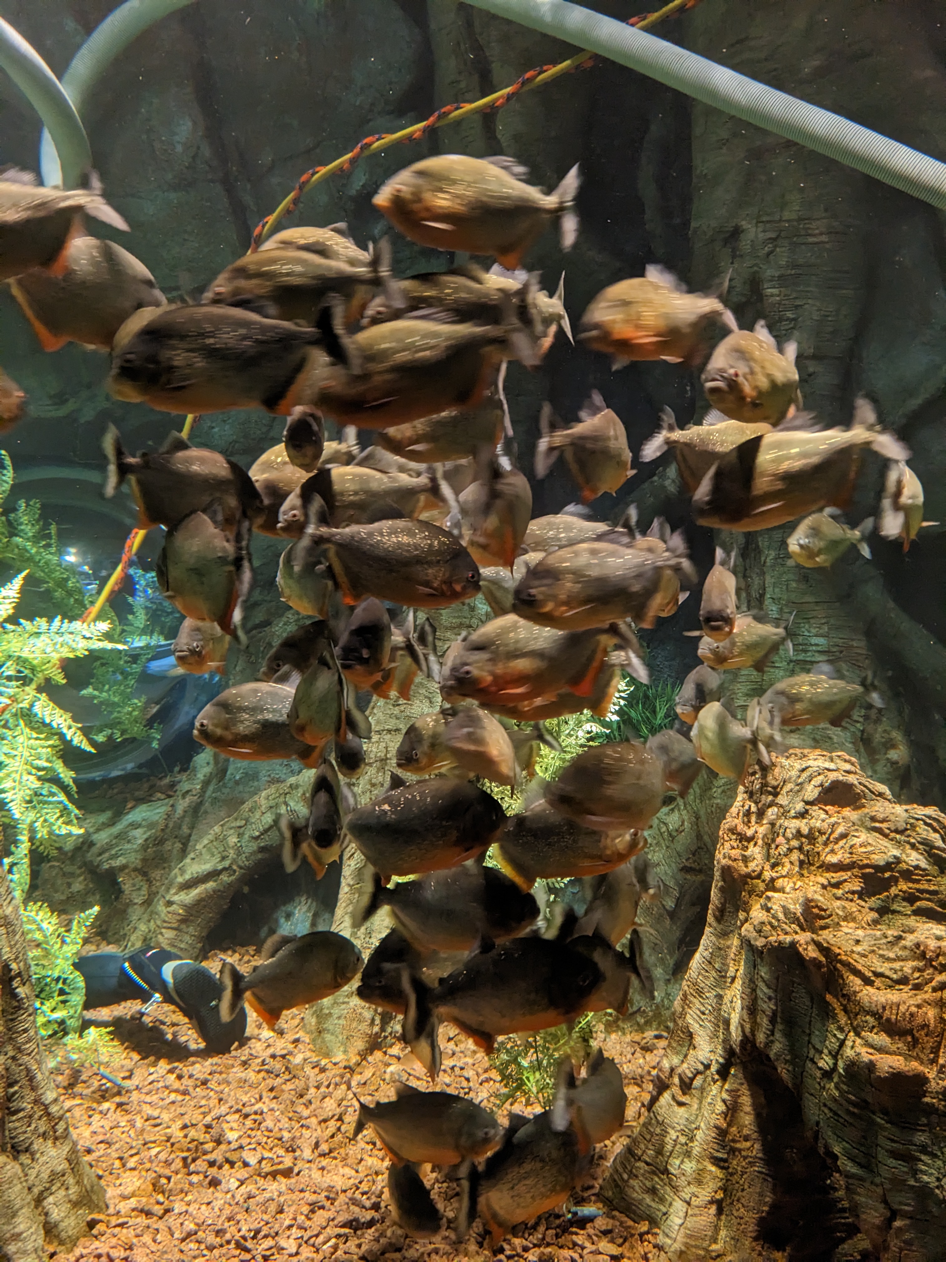 PXL 20221227 171926912