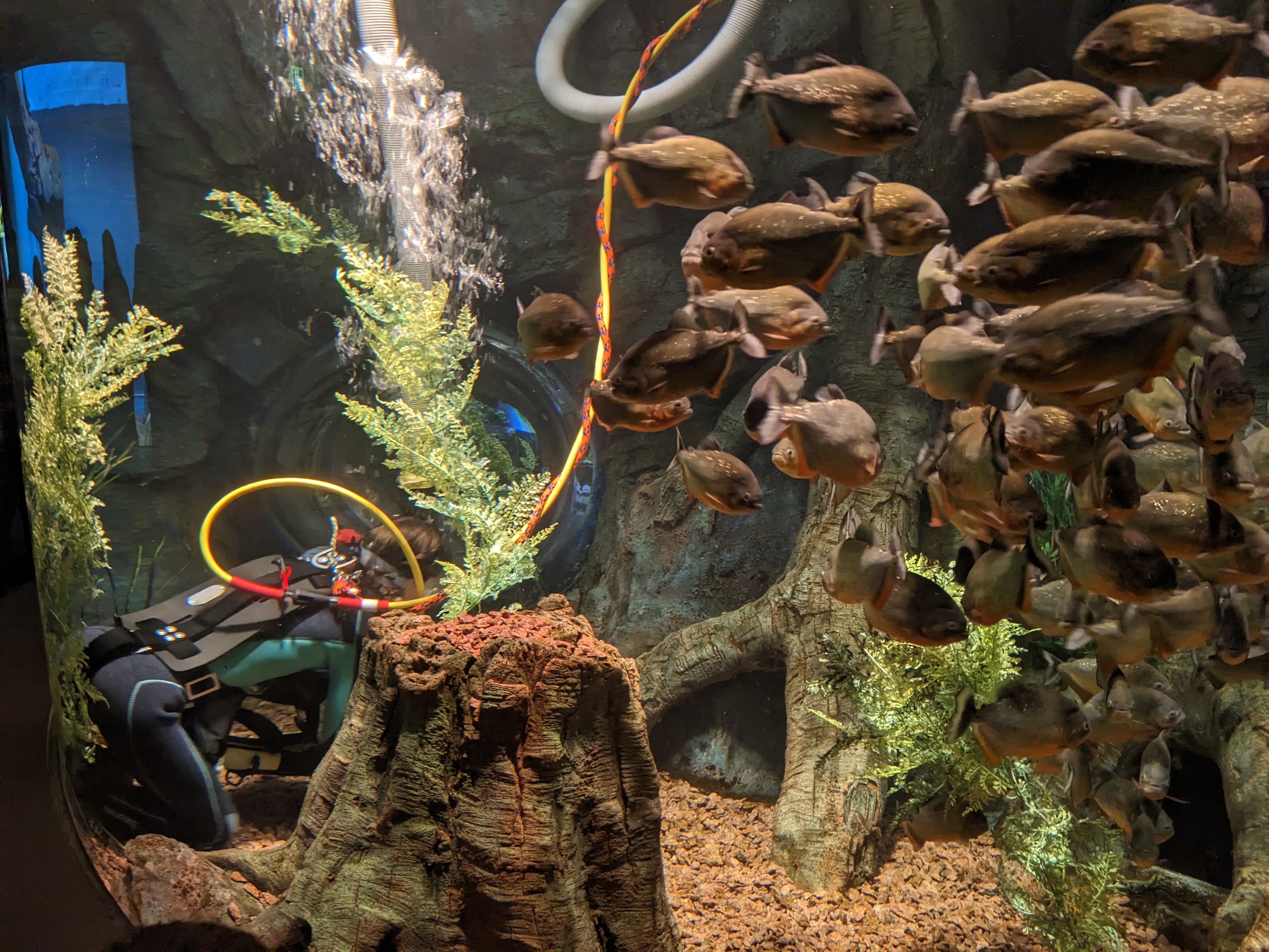 PXL 20221227 172022860