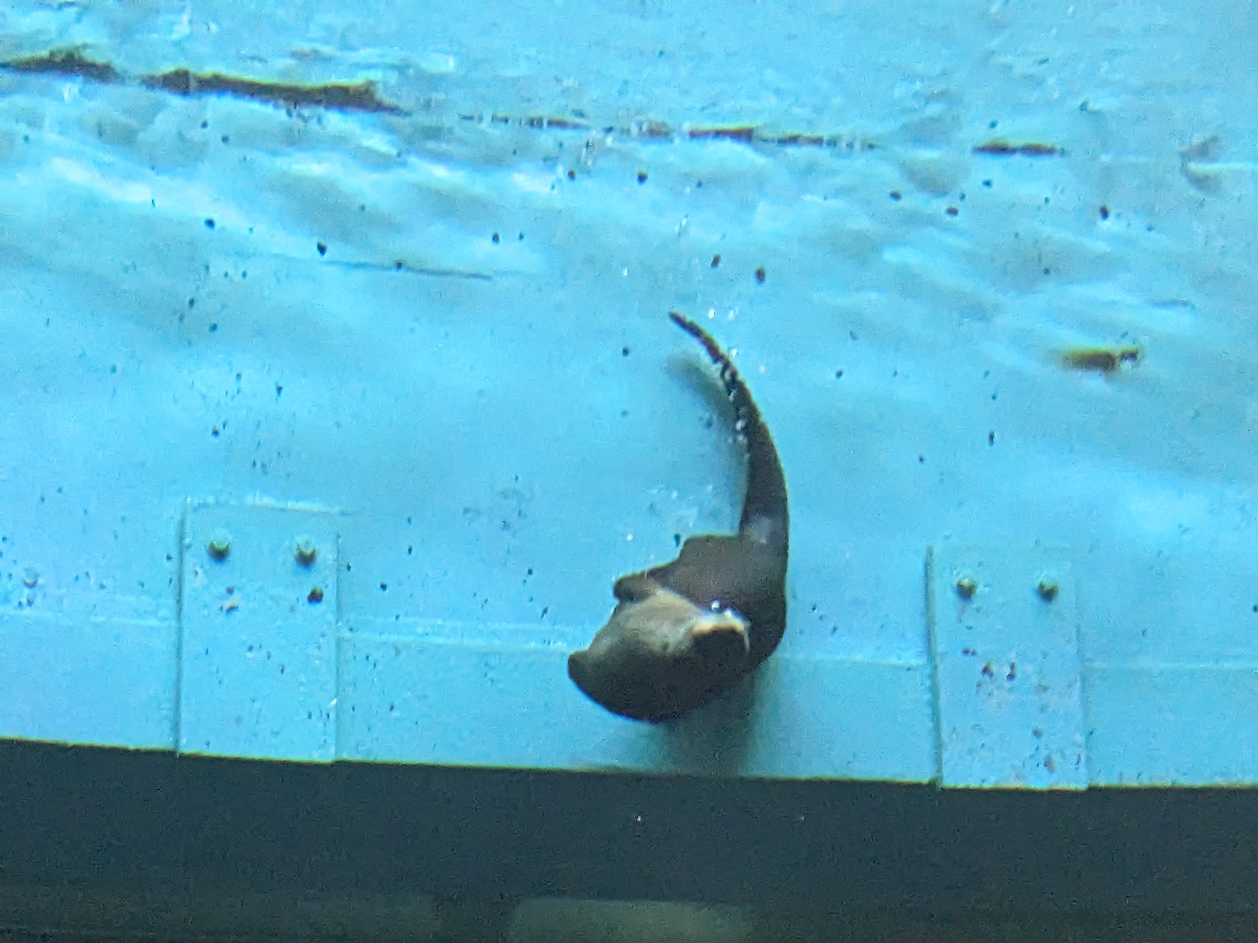 PXL 20221227 172423728