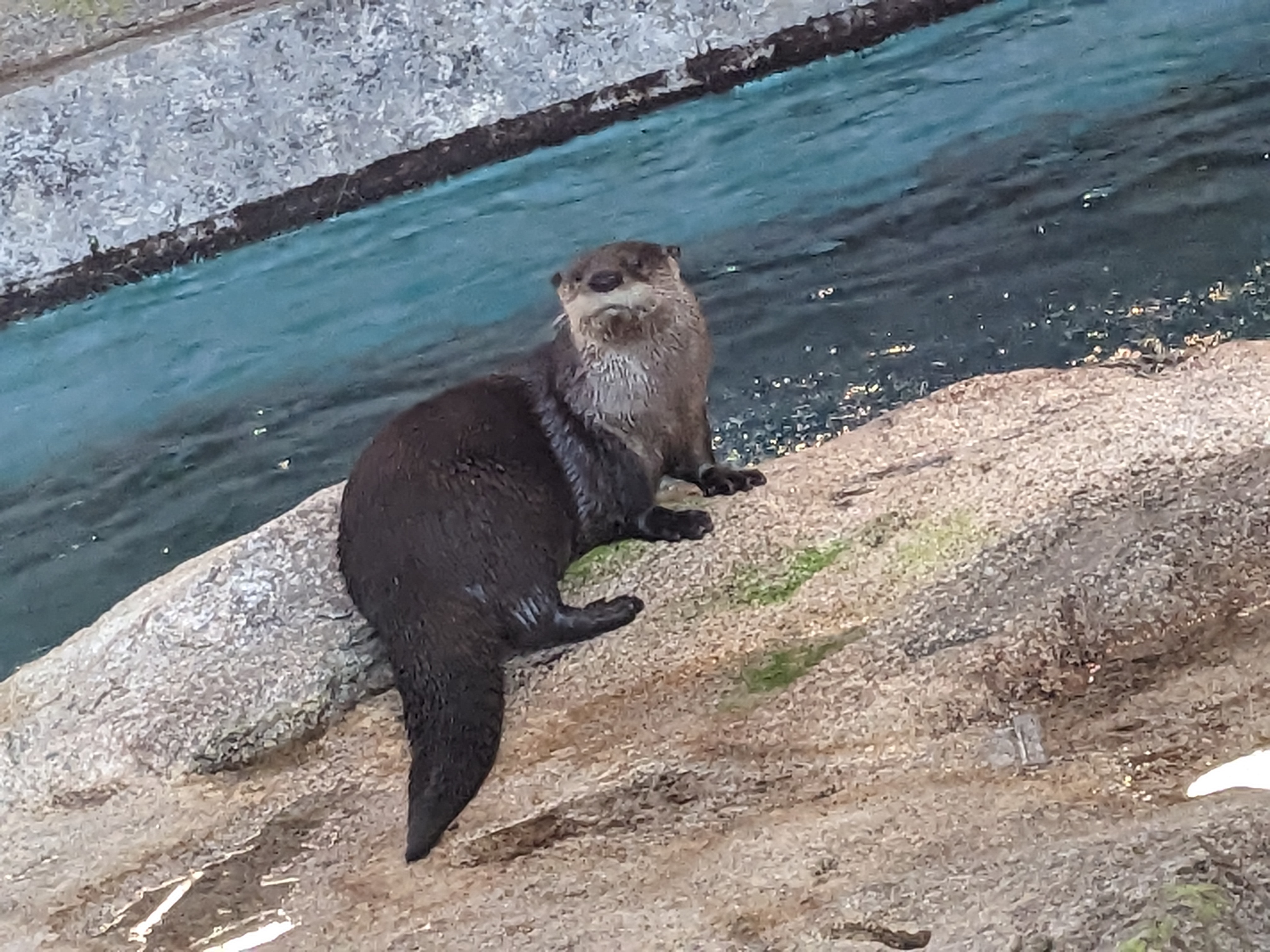 PXL 20221227 172858333