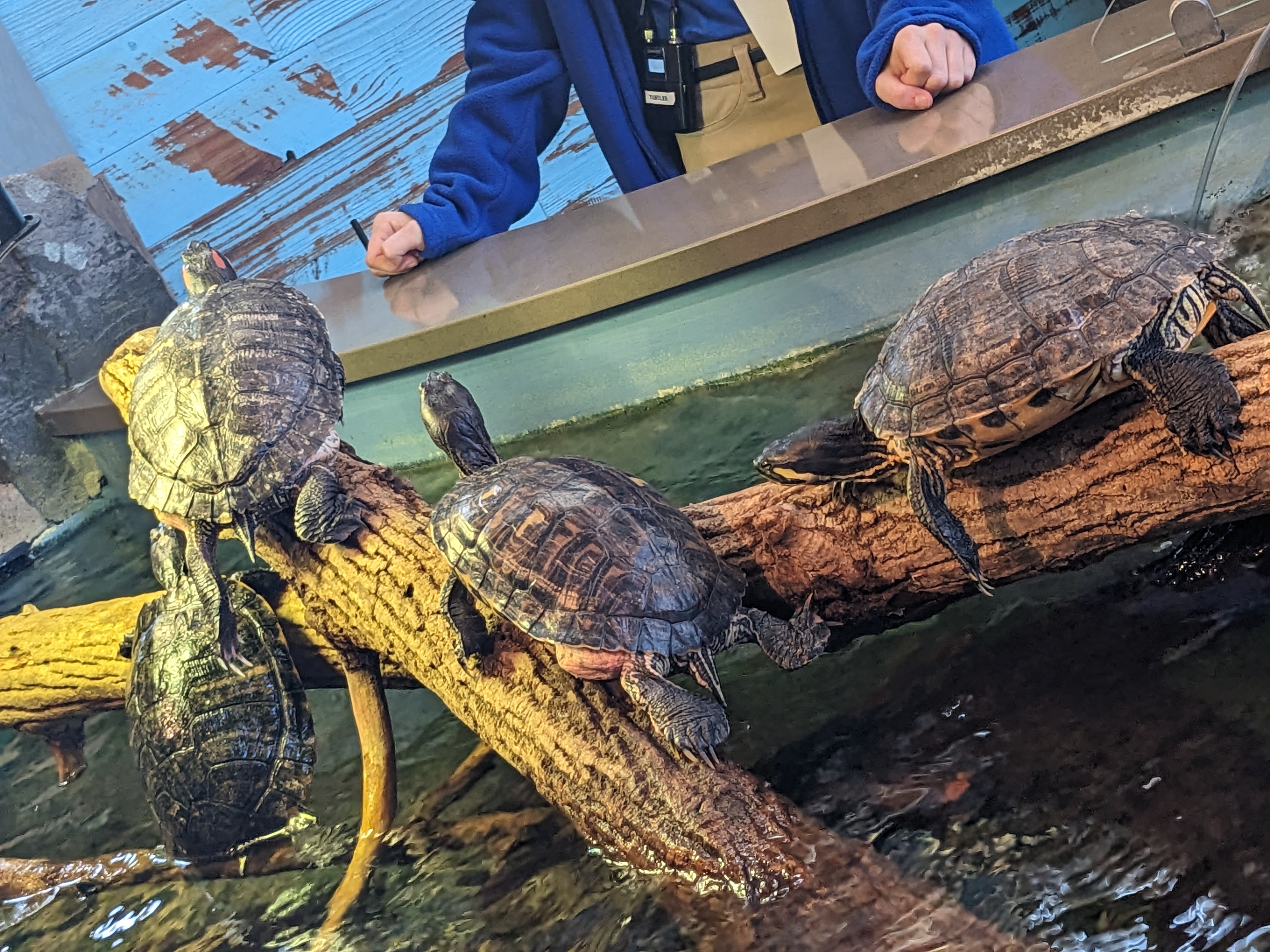 PXL 20221227 173104941