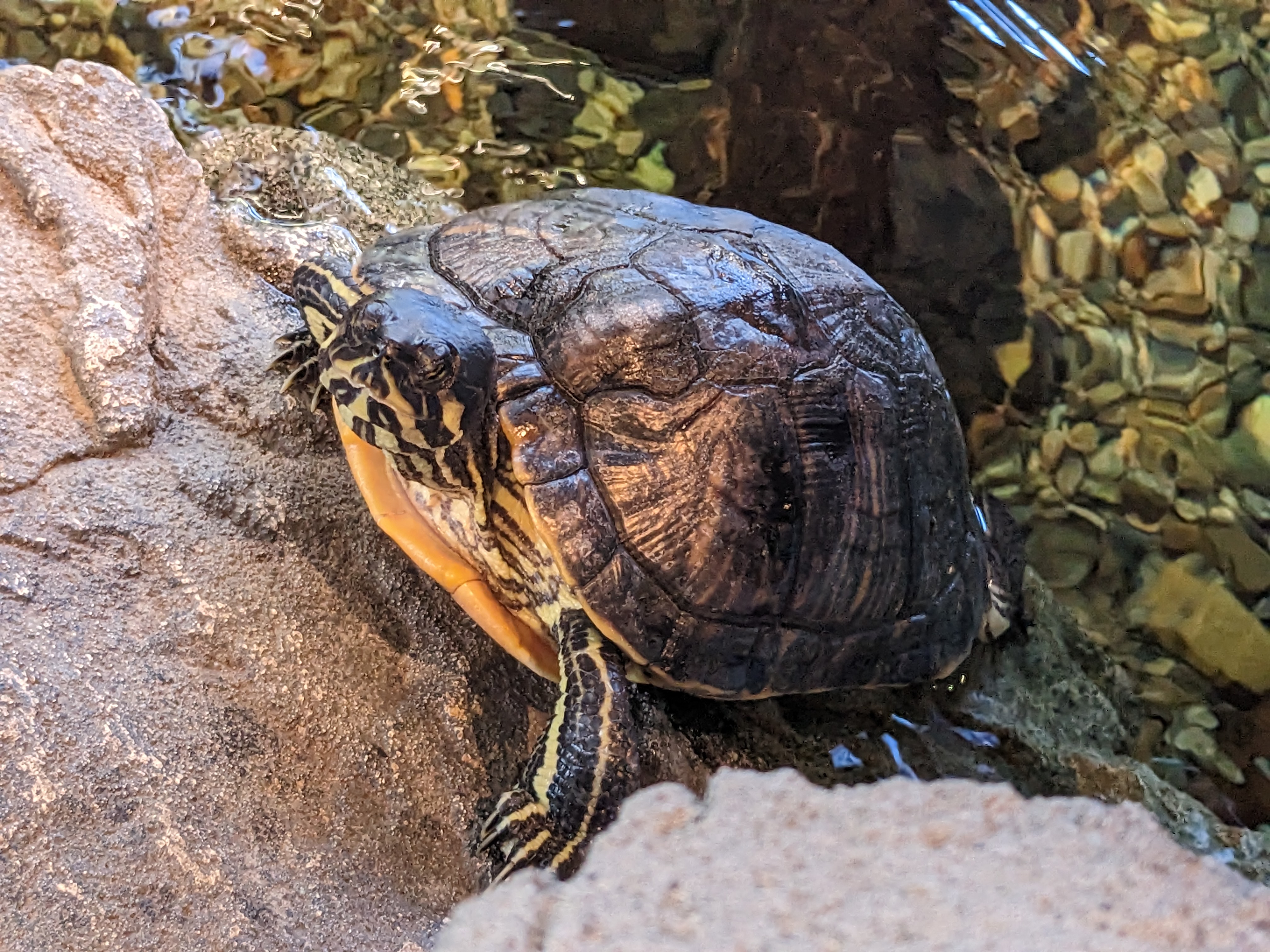 PXL 20221227 173154819