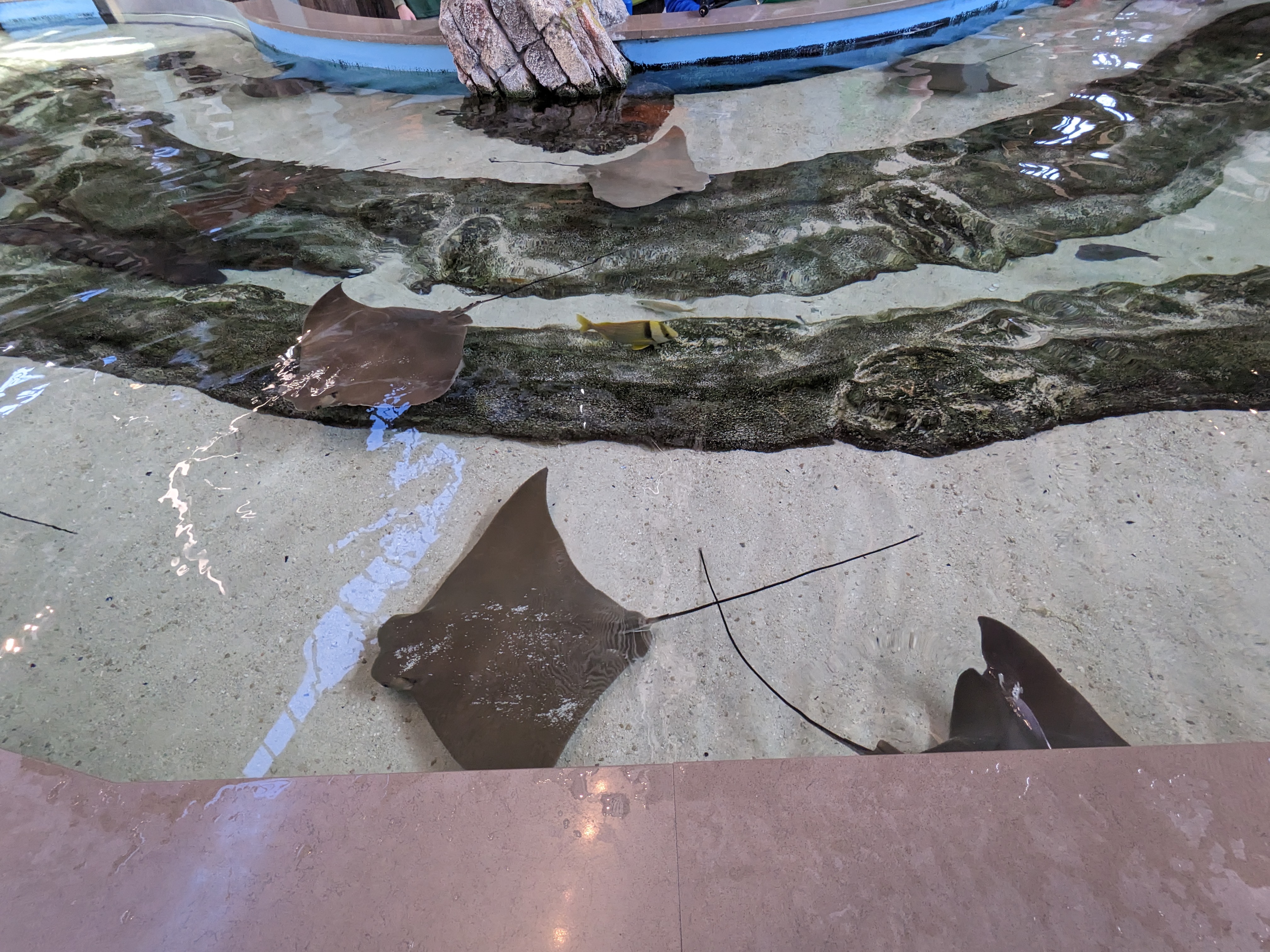 PXL 20221227 173653555