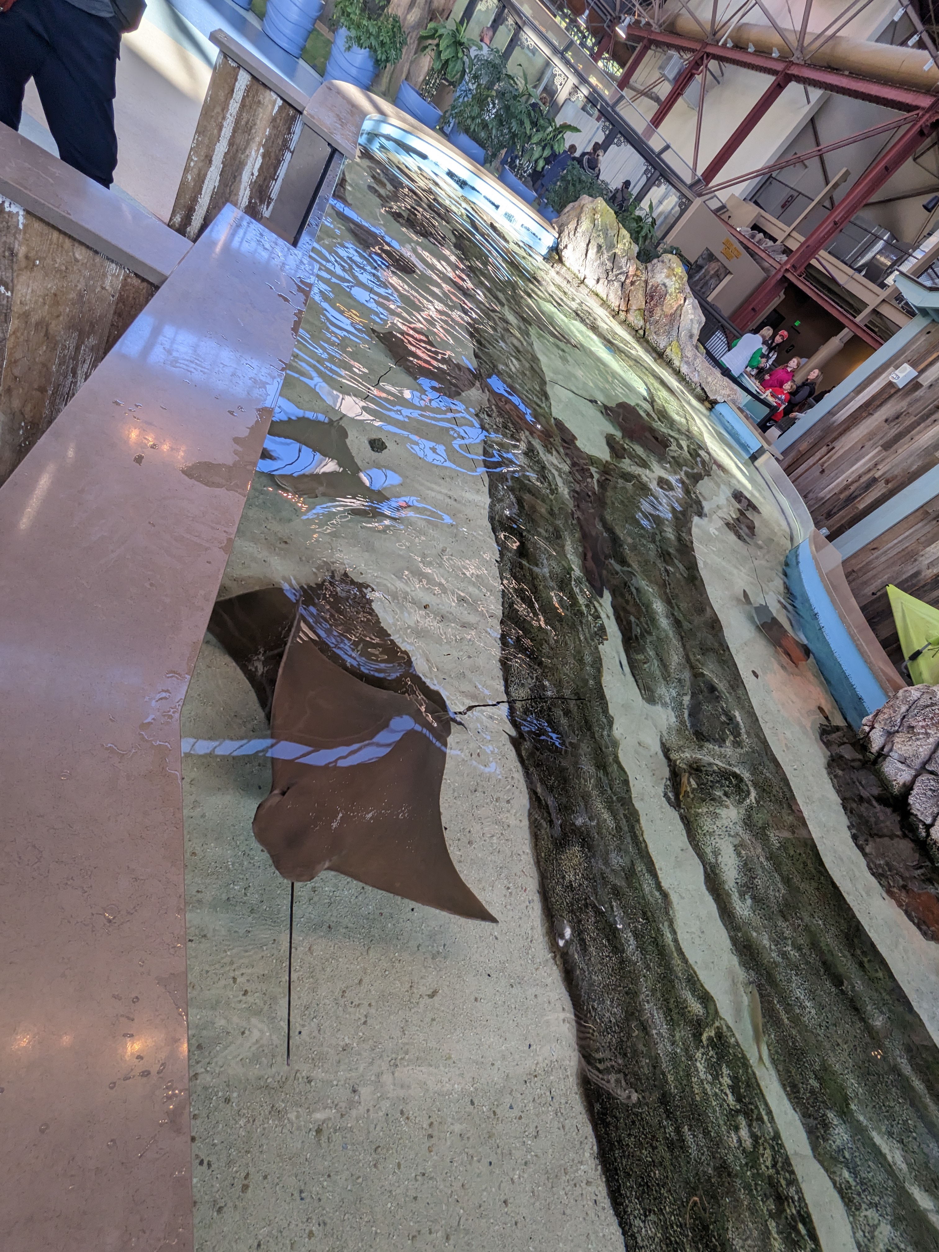 PXL 20221227 173656693