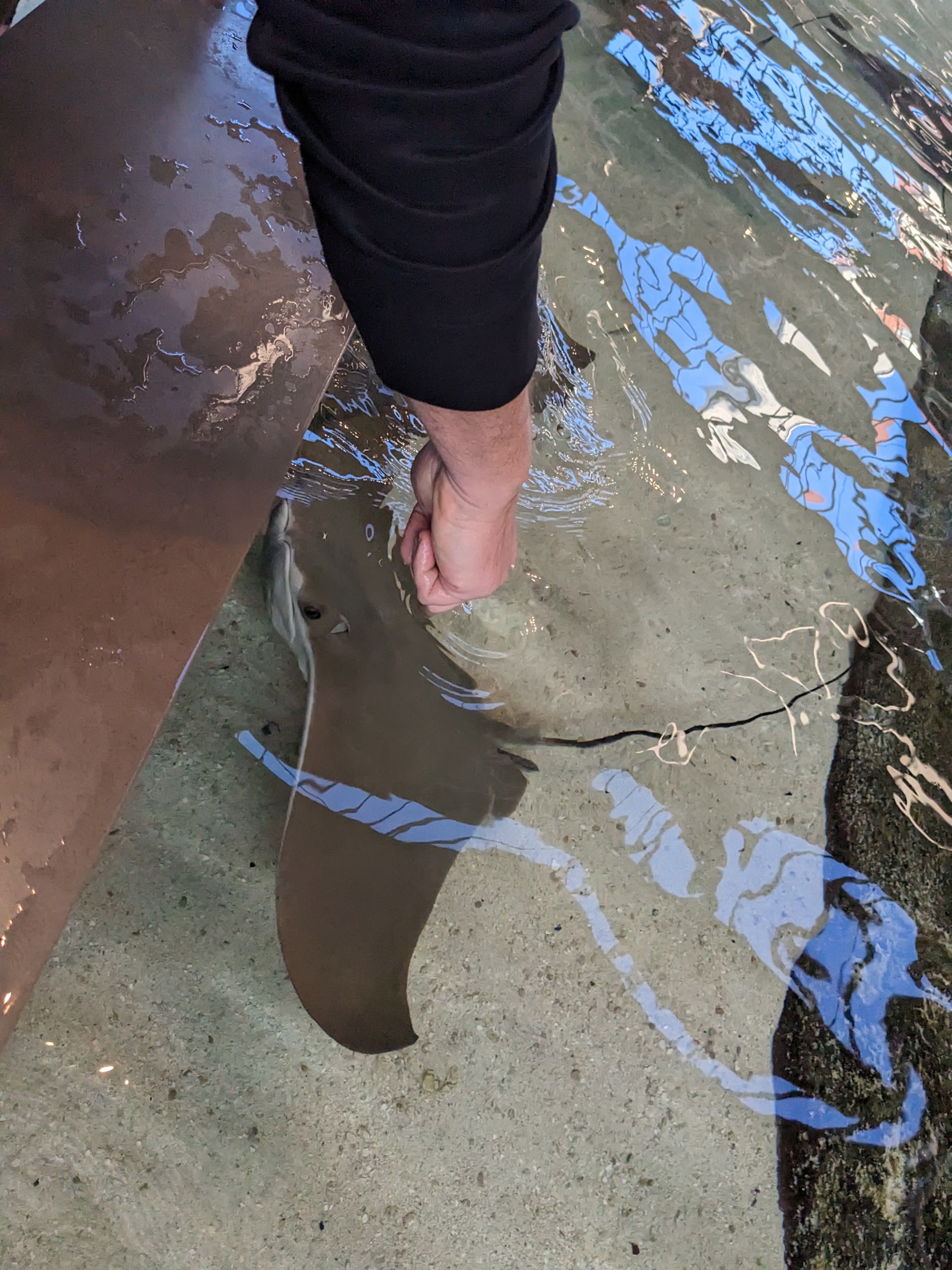 PXL 20221227 173936874