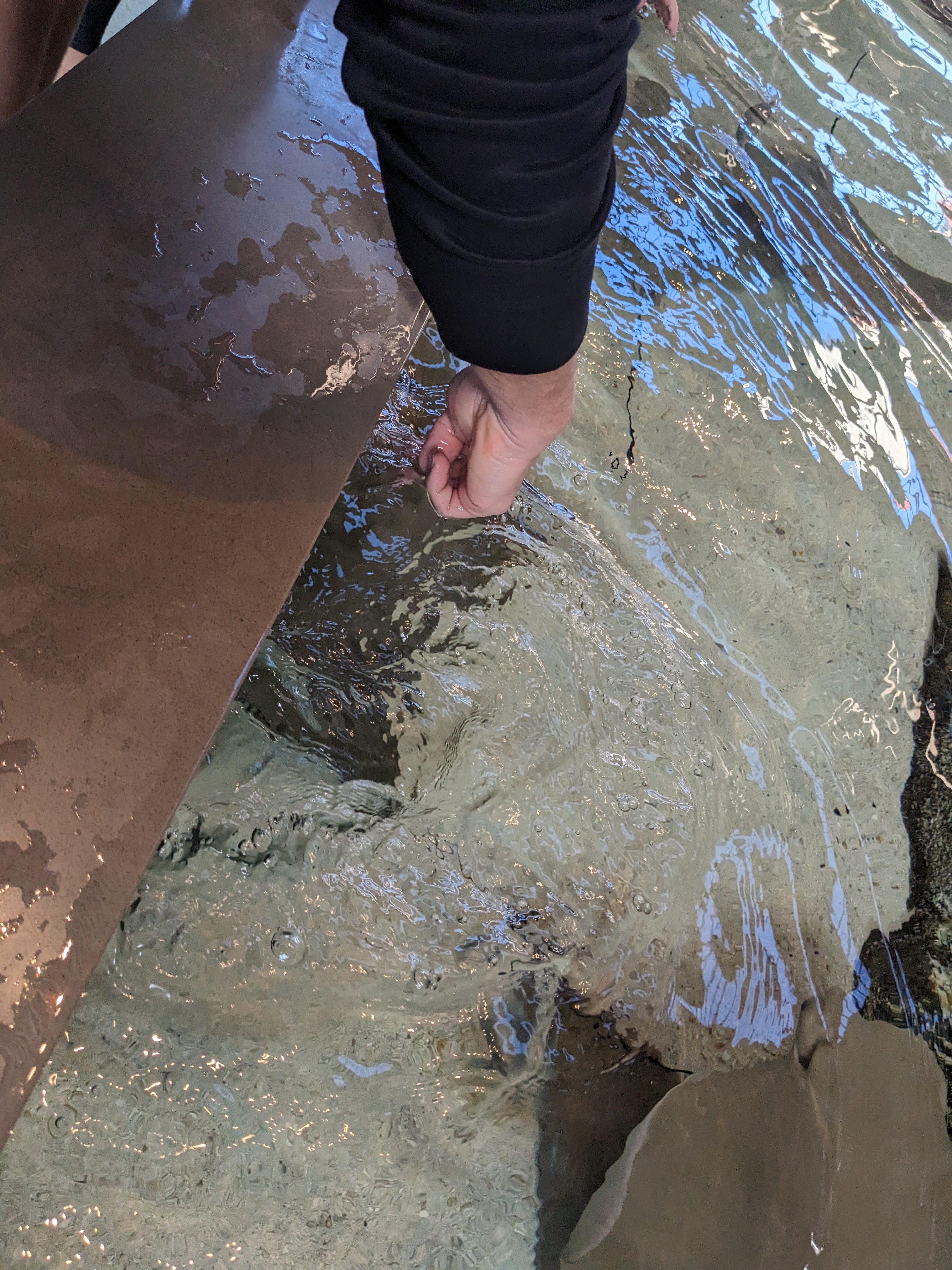 PXL 20221227 173938509