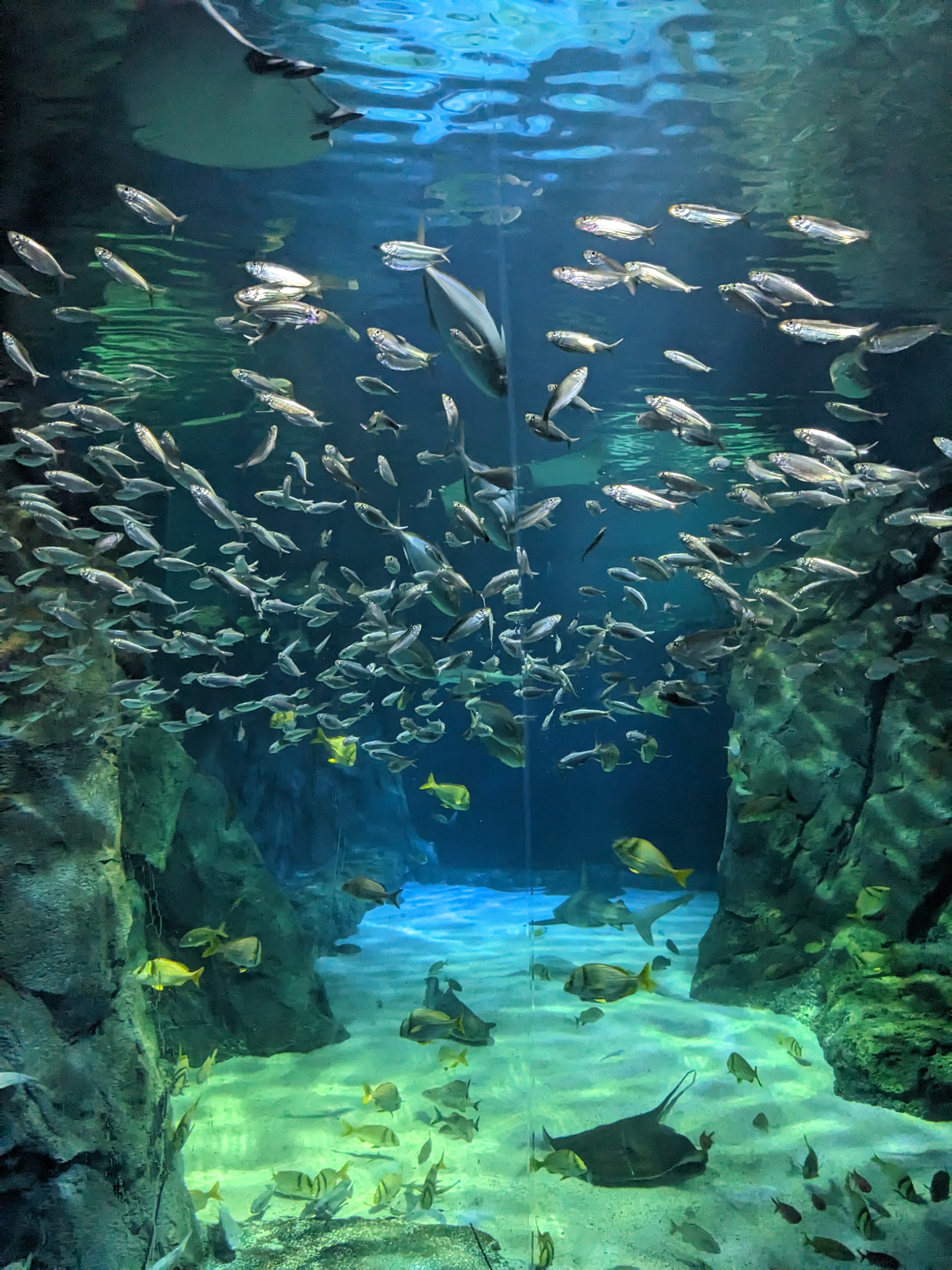 PXL 20221227 175035155