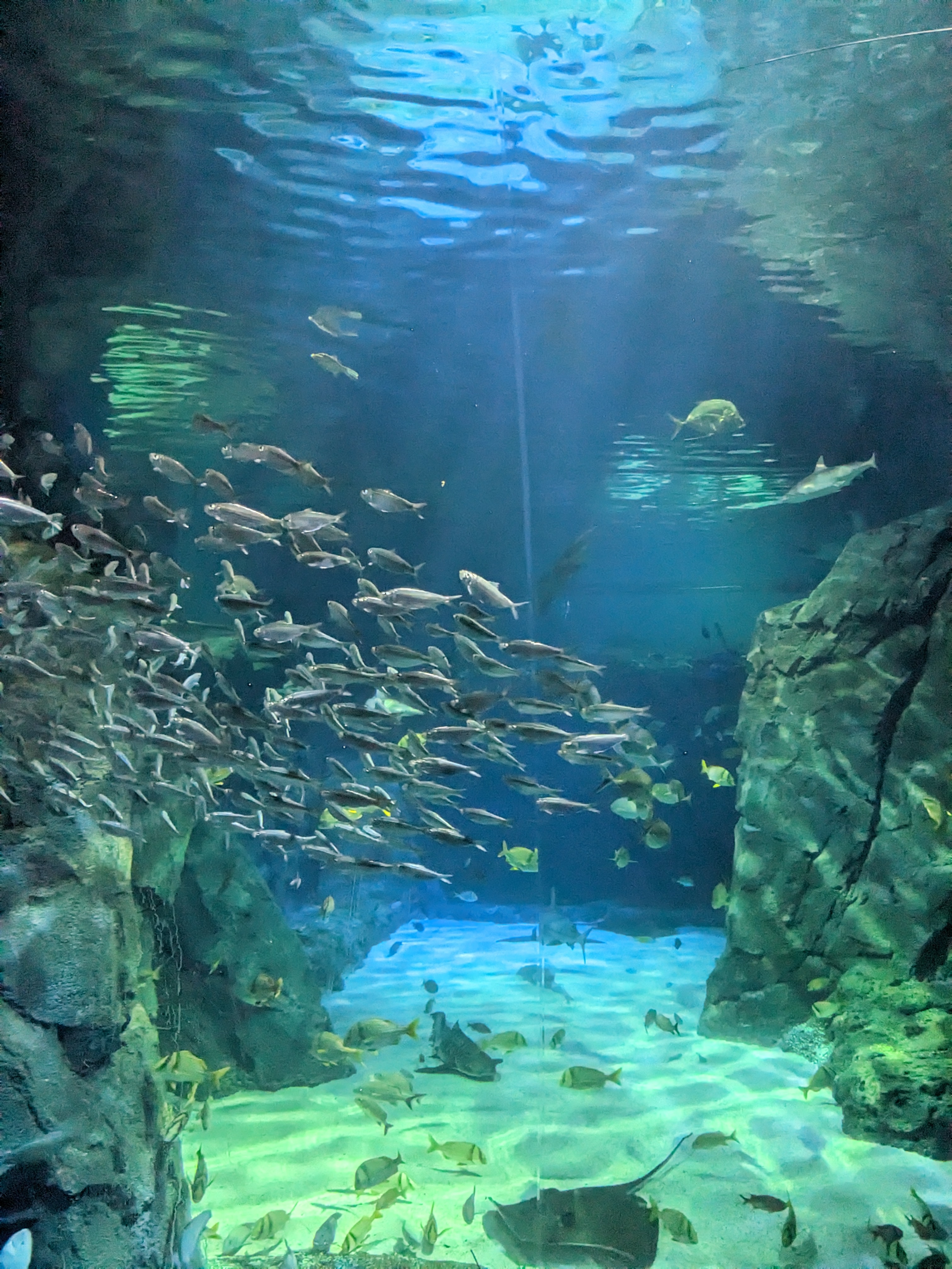 PXL 20221227 175037456