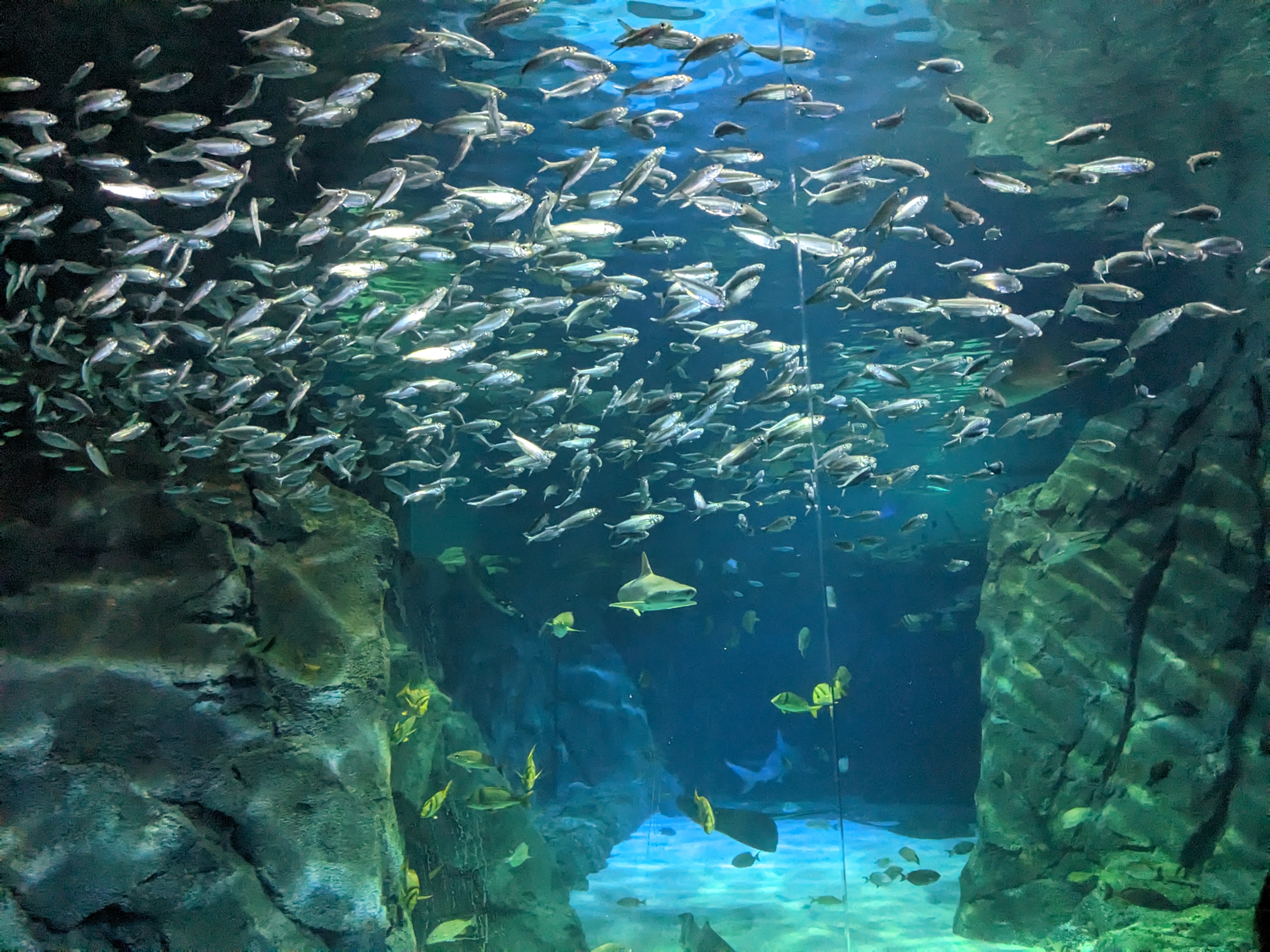 PXL 20221227 175043668