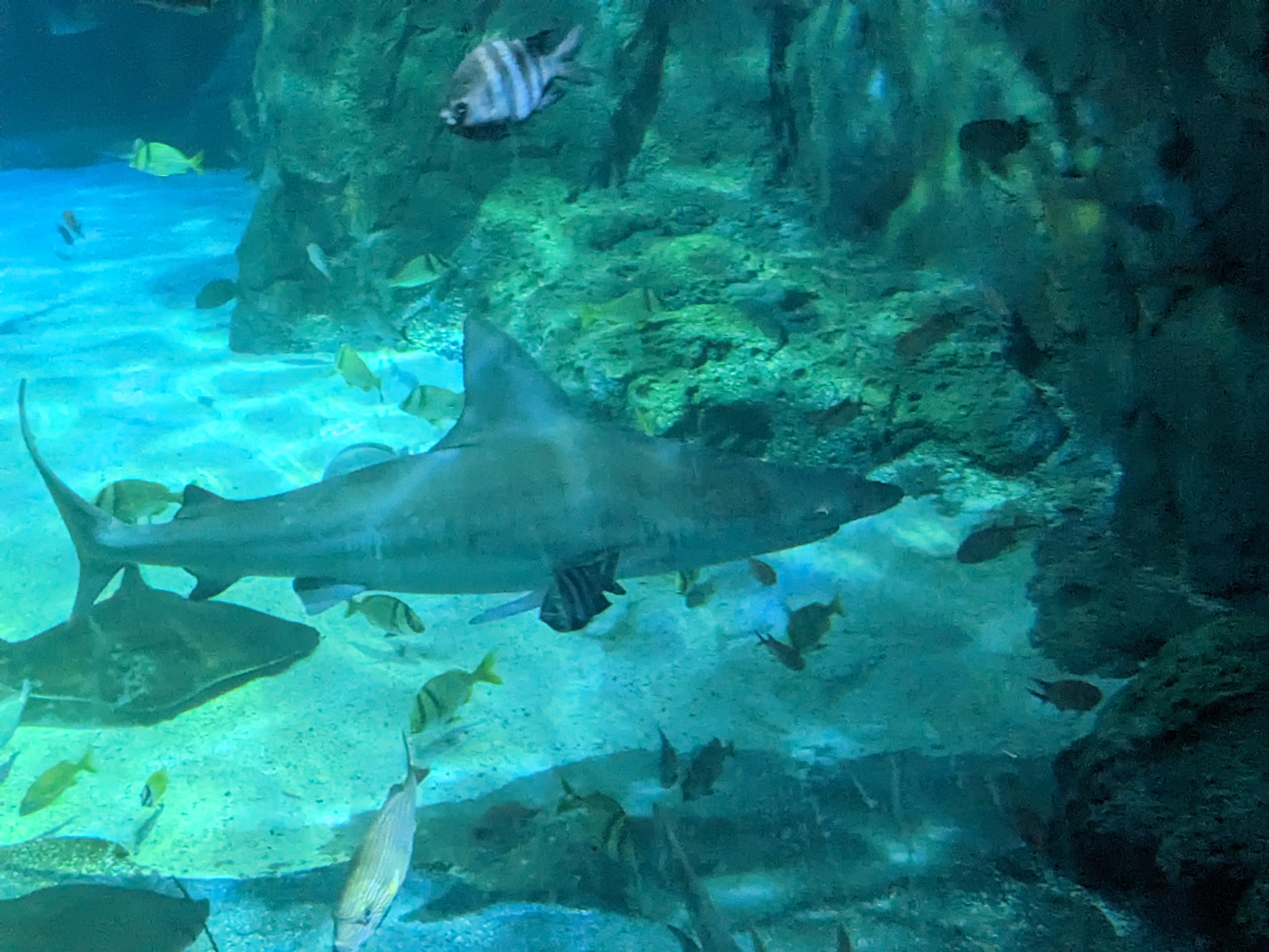 PXL 20221227 175151033