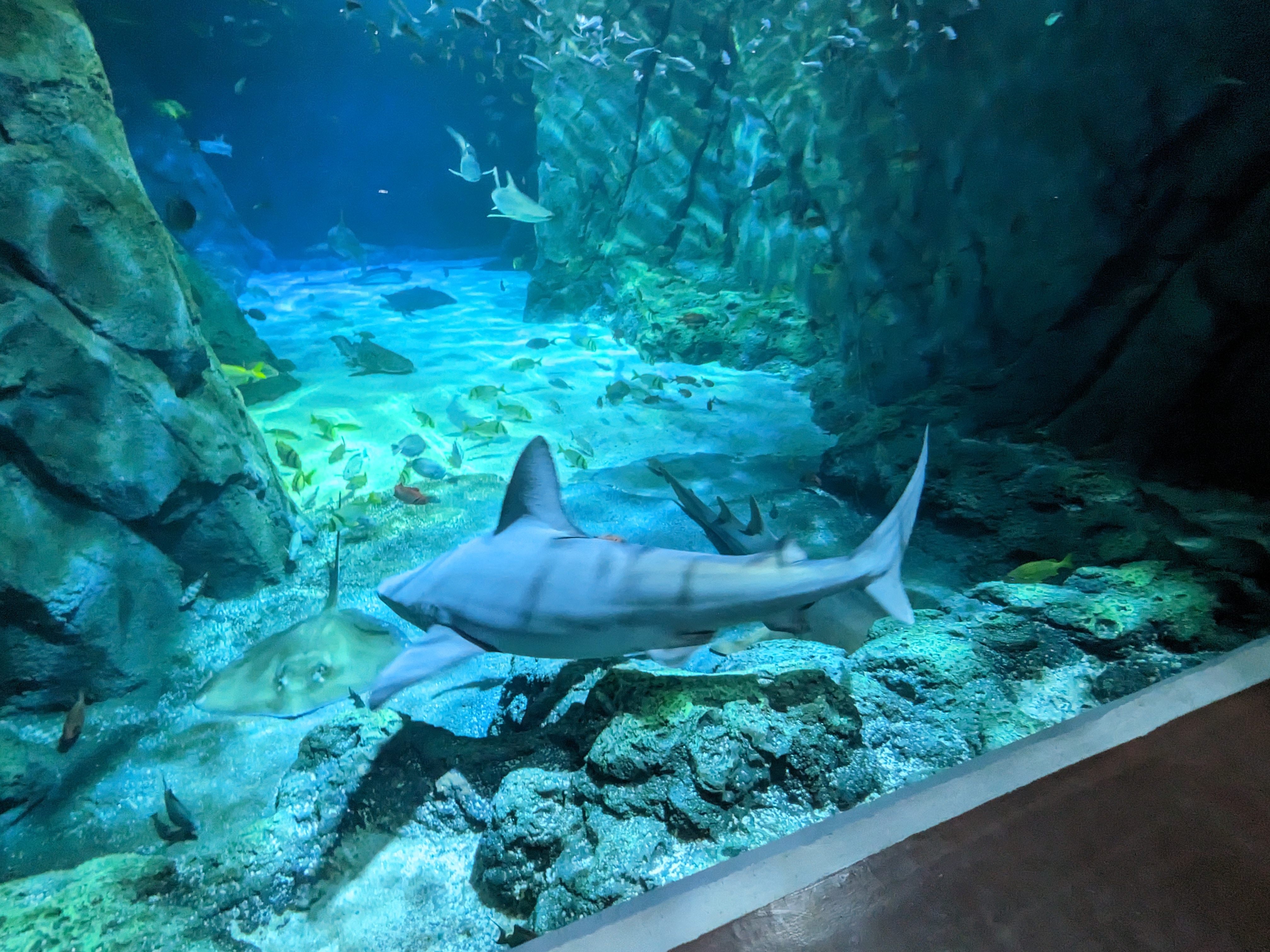 PXL 20221227 175242351