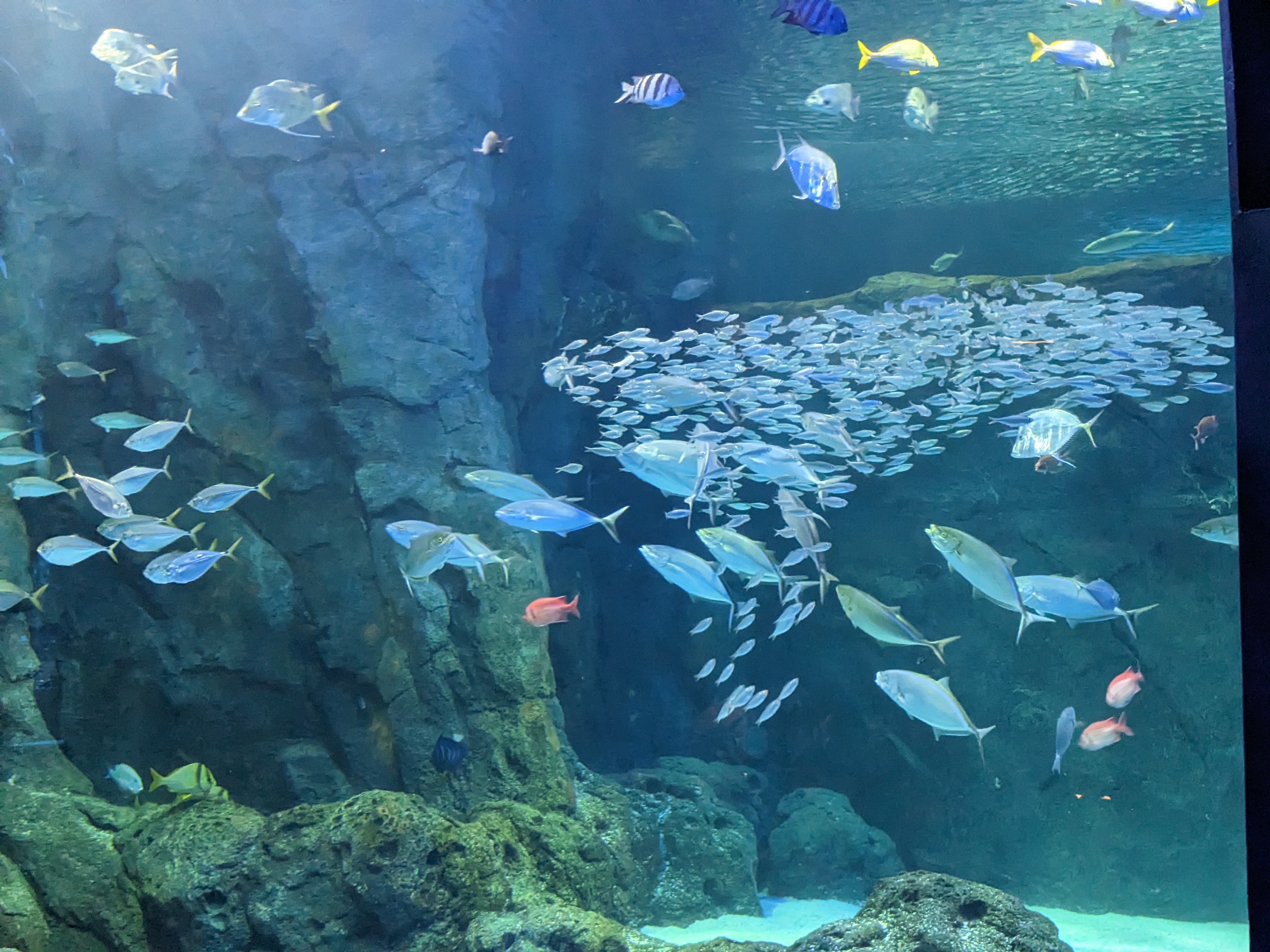 PXL 20221227 175438281