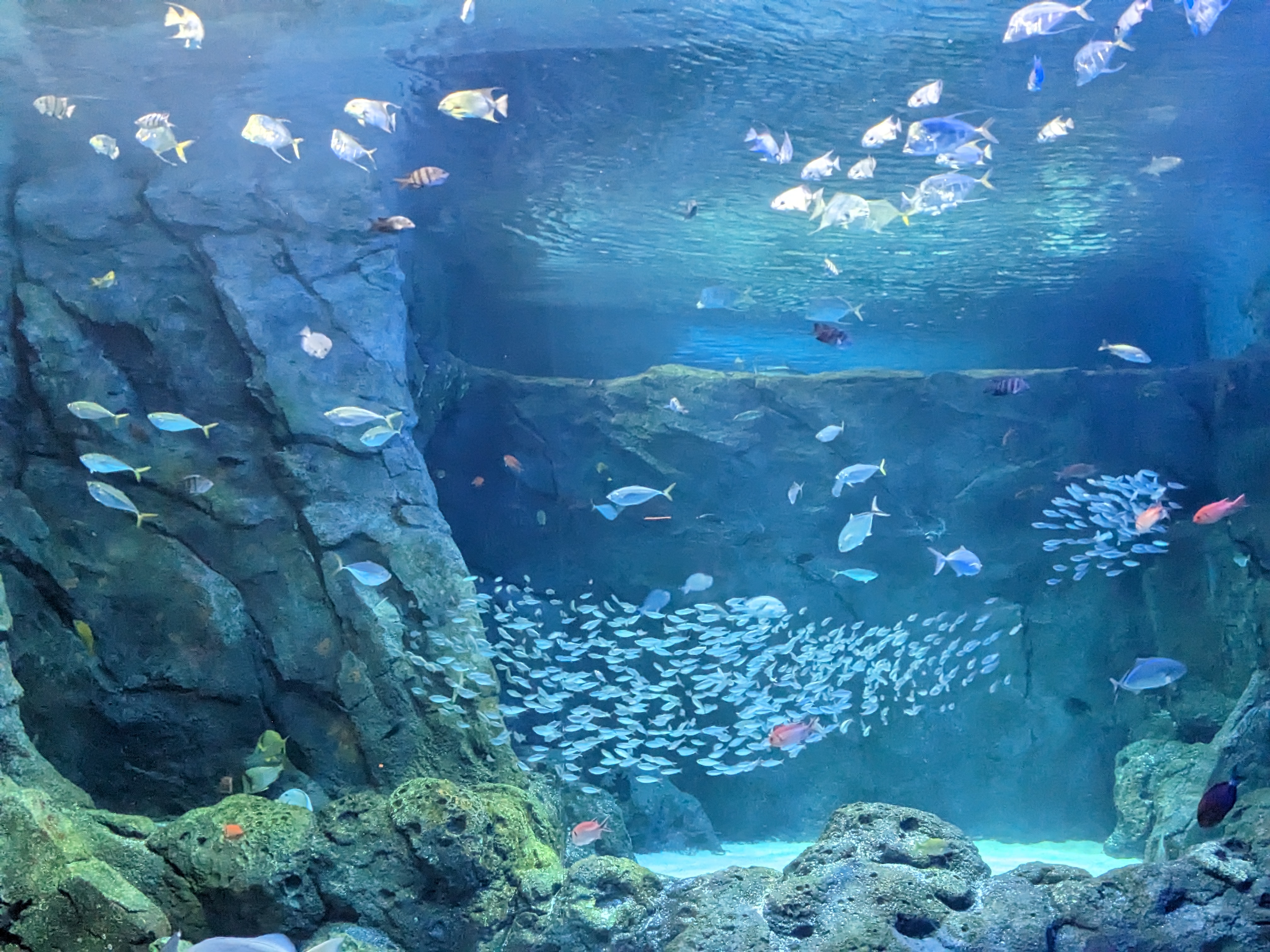 PXL 20221227 175634107